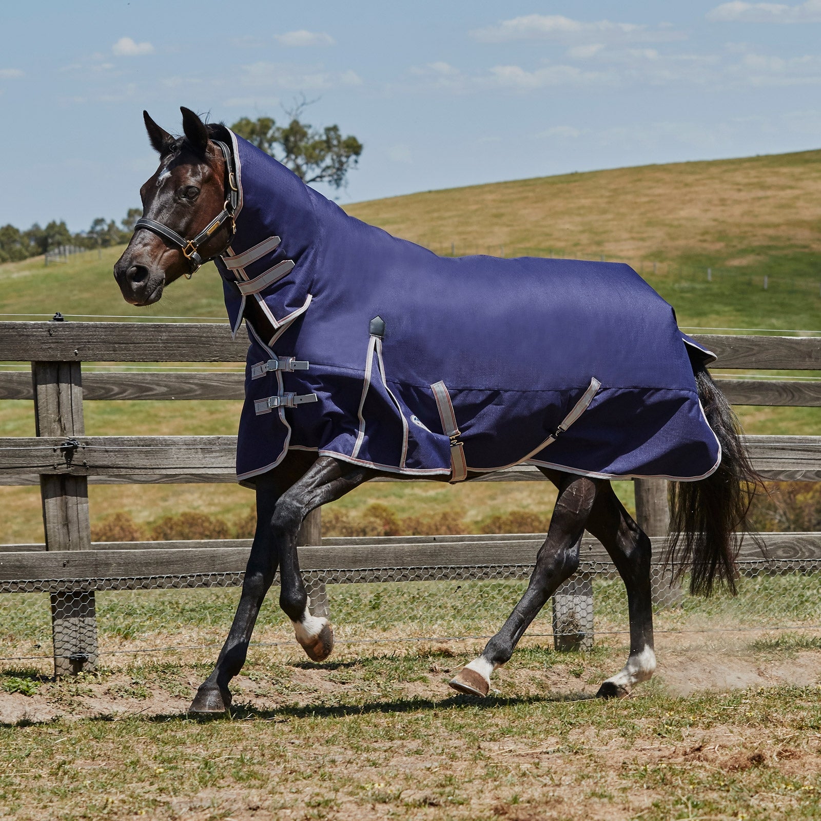 Weatherbeeta Couverture d'extérieur Comfitec Essentiel, avec couvre-encolure, légère, 0 g Couvertures cheval