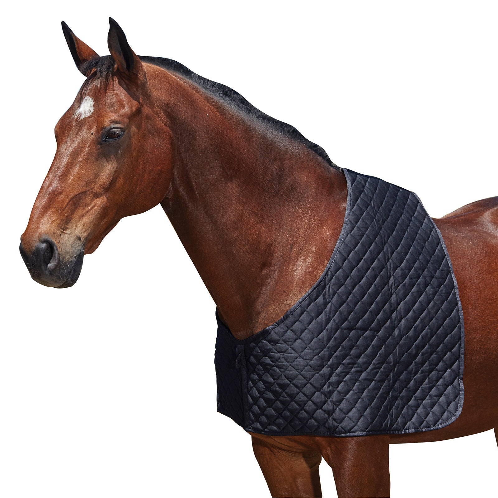 Weatherbeeta Protection d'épaules Deluxe Couvertures cheval