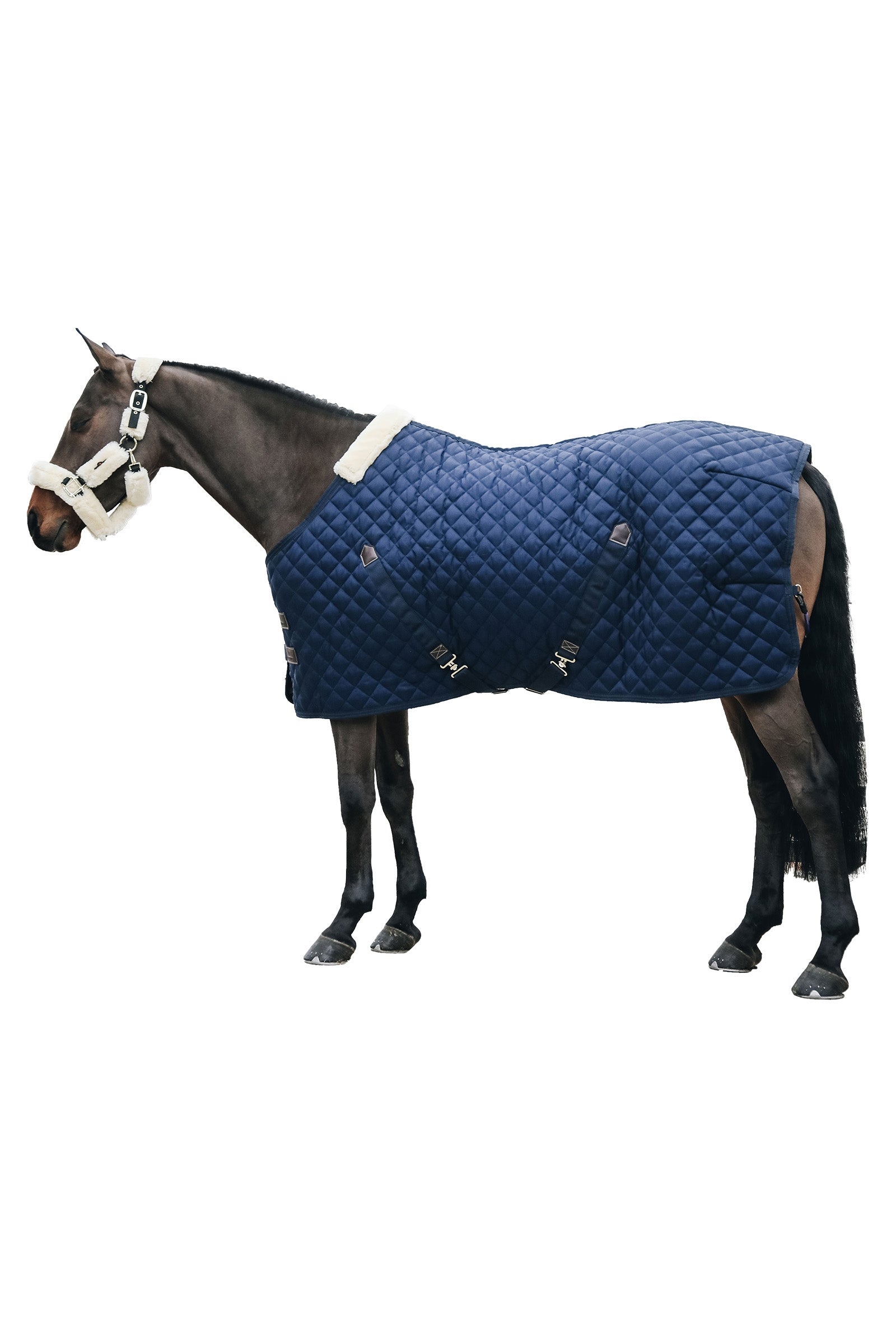 Kentucky Horsewear Couverture D’ecurie 400g Couvertures cheval