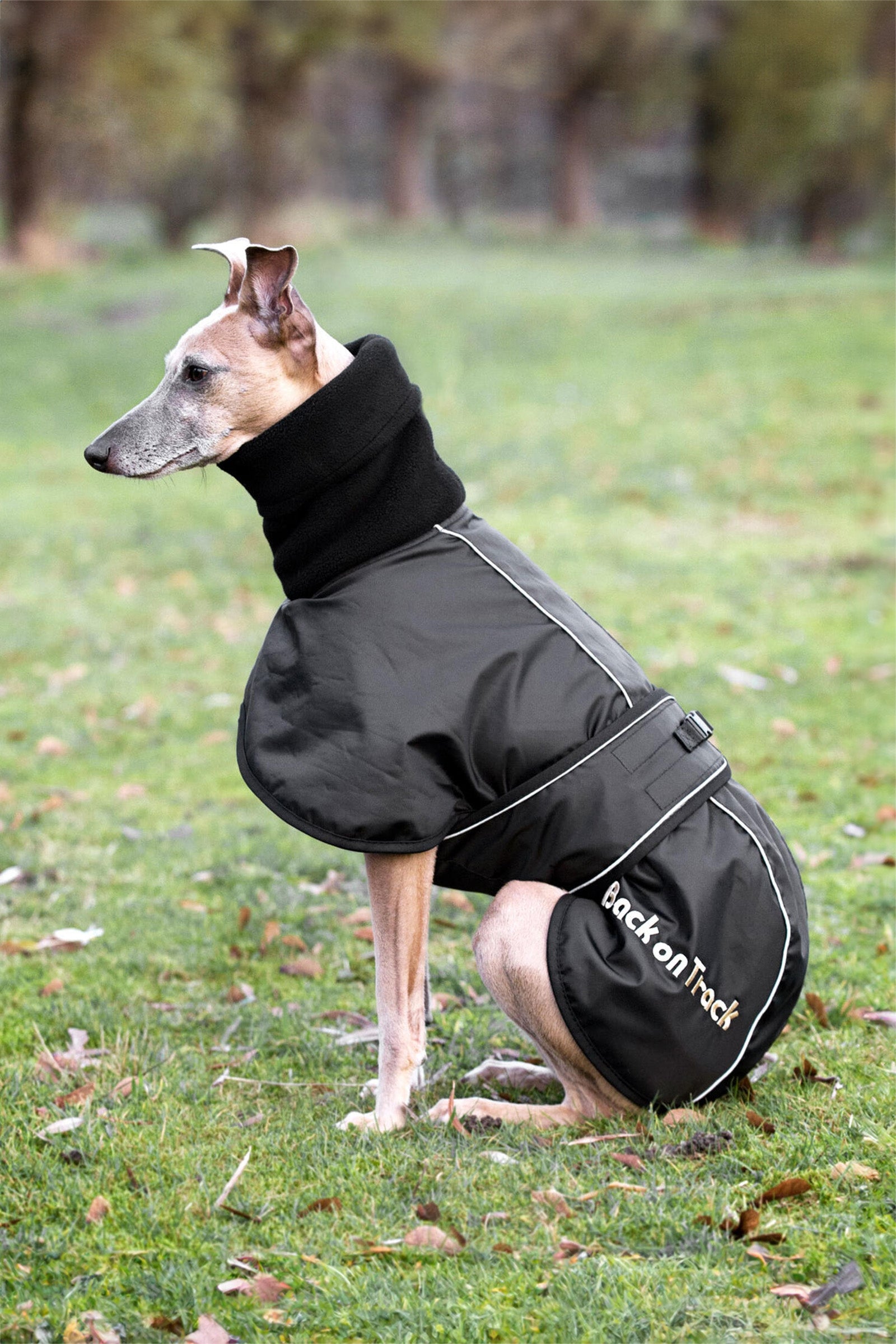 Back on Track Manteau pour chien Whippet, XS-M Chiens