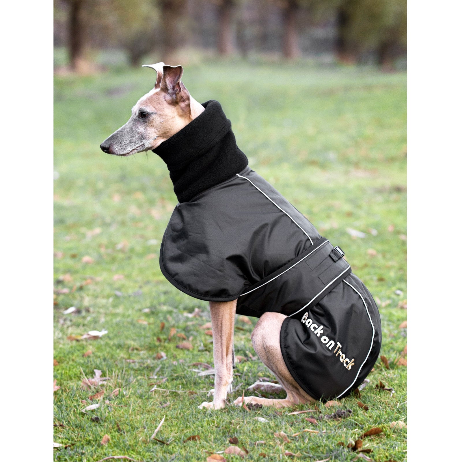 Back on Track Manteau pour chien Whippet, L-XXL Chiens