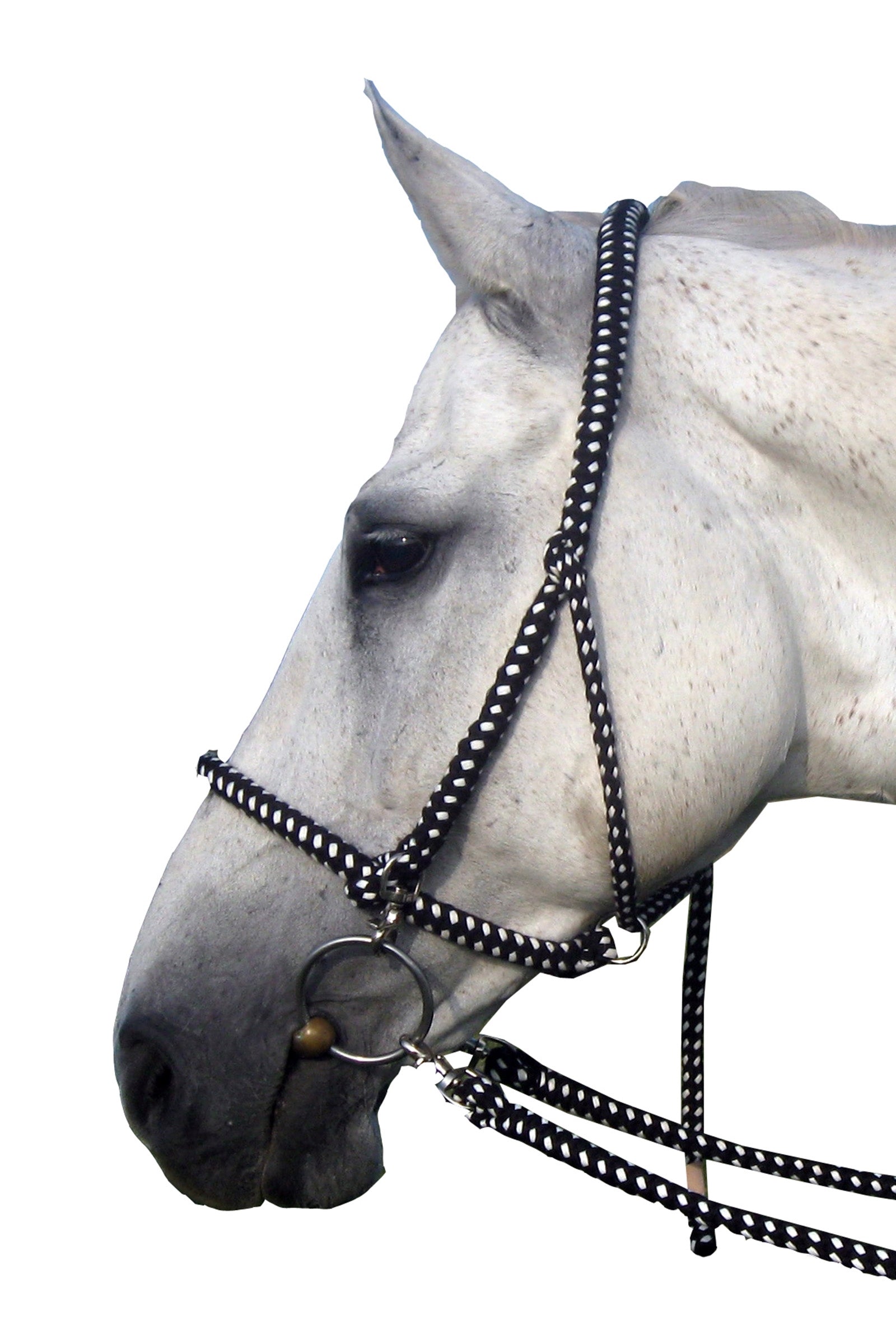 F.R.A. Freedom Riding Articles Gregor Halter-bridle Cotton Reins Included Licols & longes