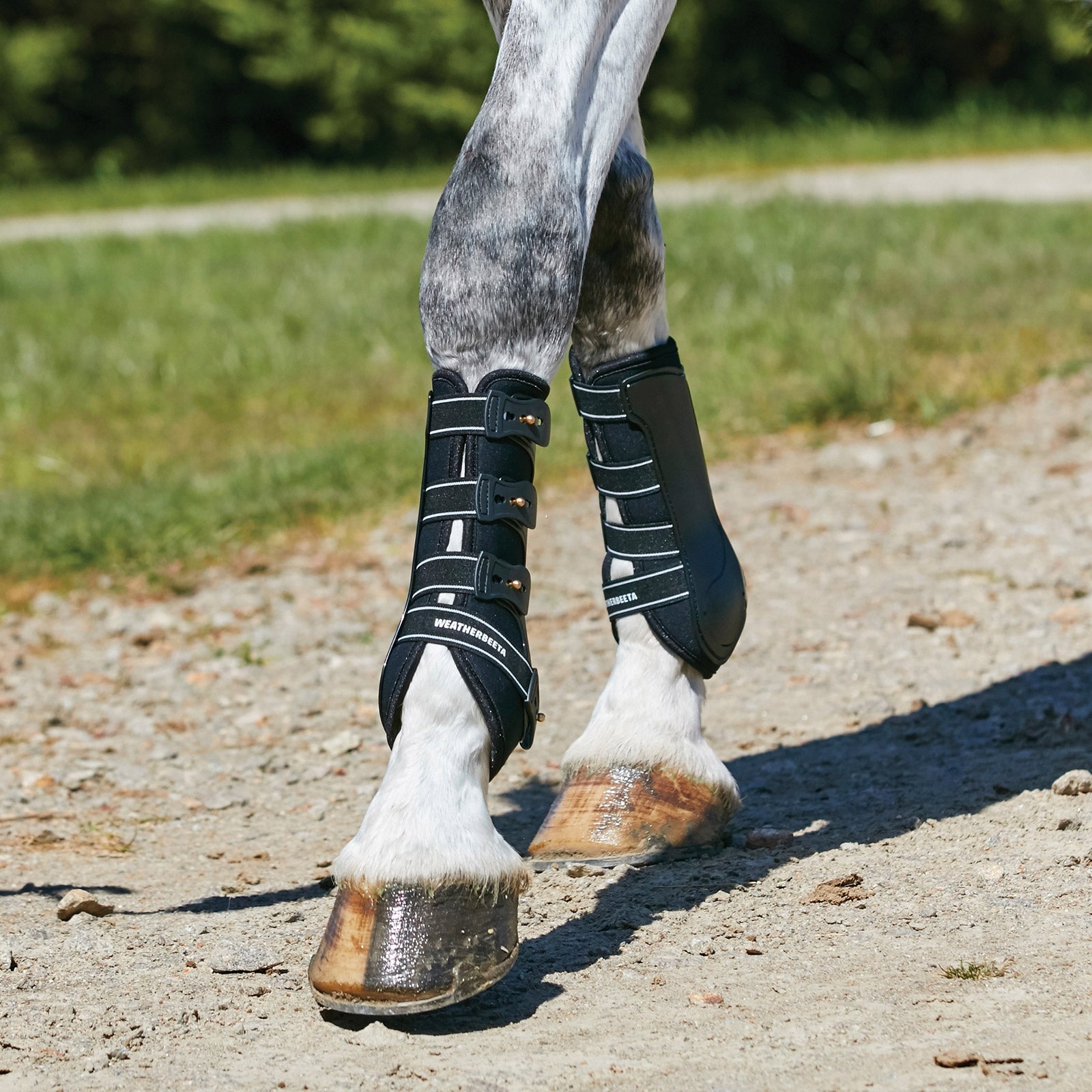 Weatherbeeta Guêtres de protection ouvertes protège-tendons coque ferme Leg Protection & Hoof Protection for Horses