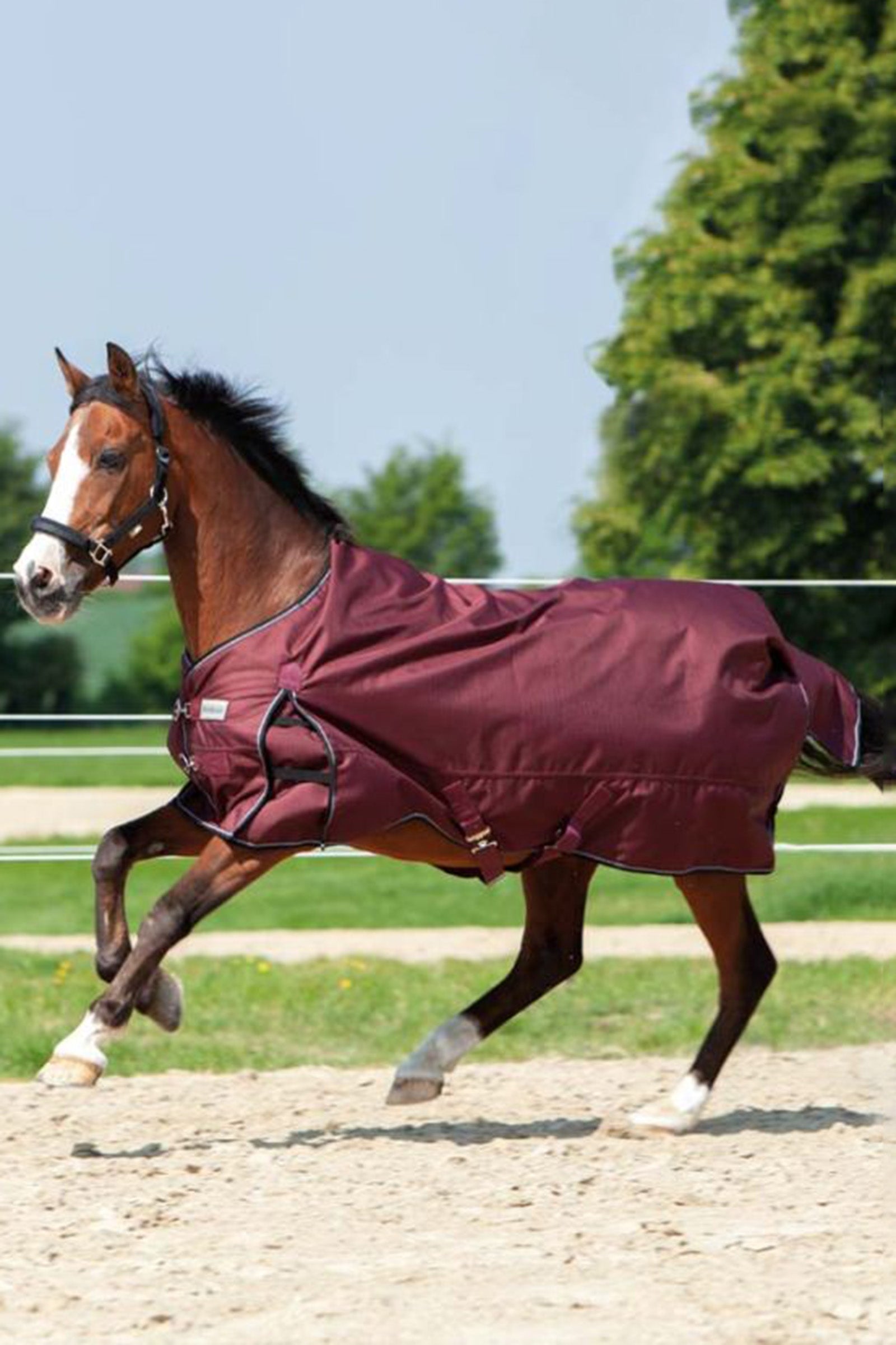 Kavalkade Alaska IV Turnout Rug, 300g Horse Rugs