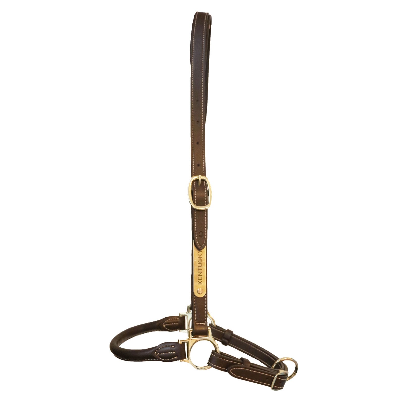Kentucky Horsewear Licol de pansage en Cuir Licols & longes