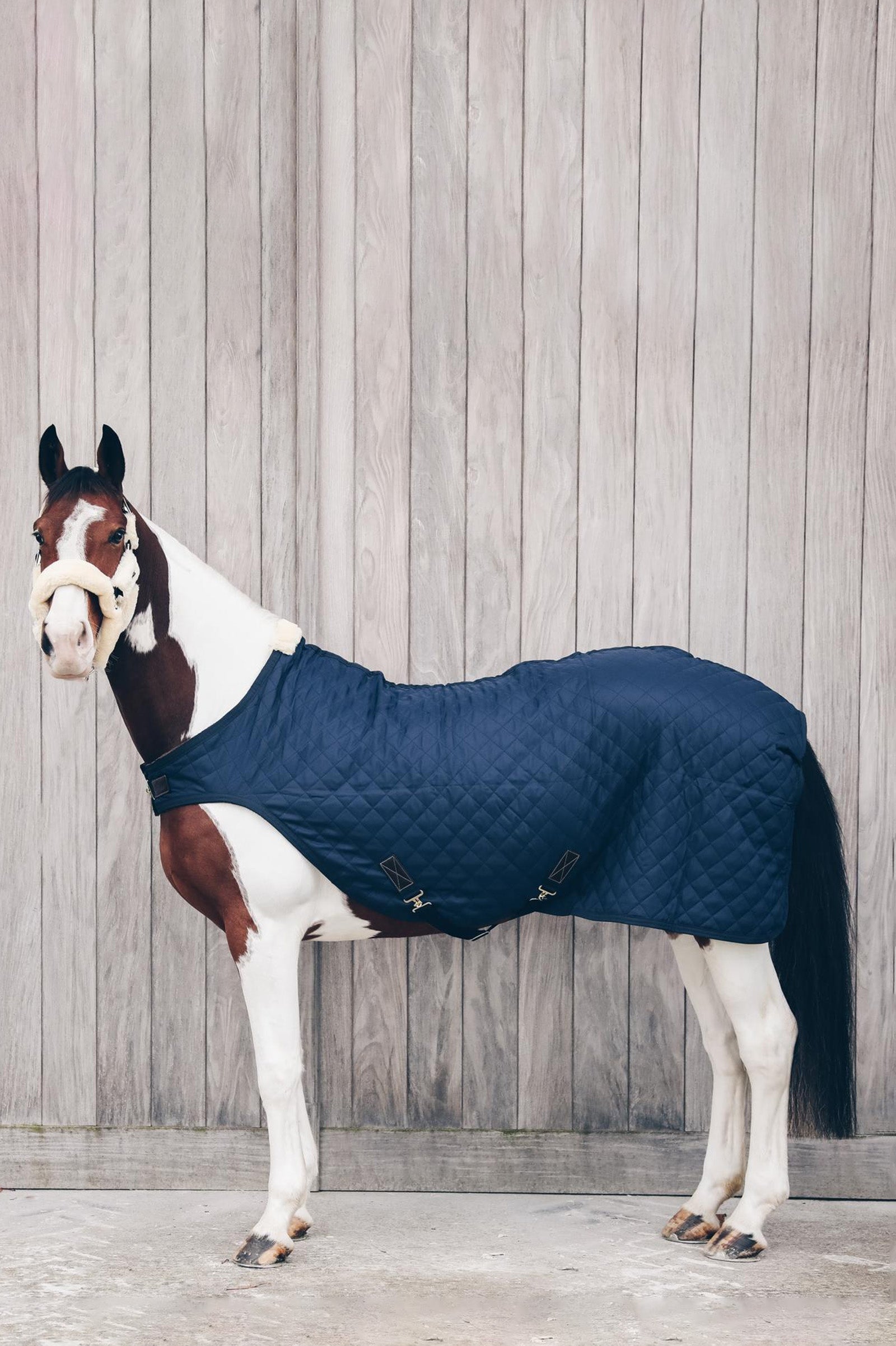 Kentucky Horsewear Couverture de Marcheur 160g Couvertures cheval