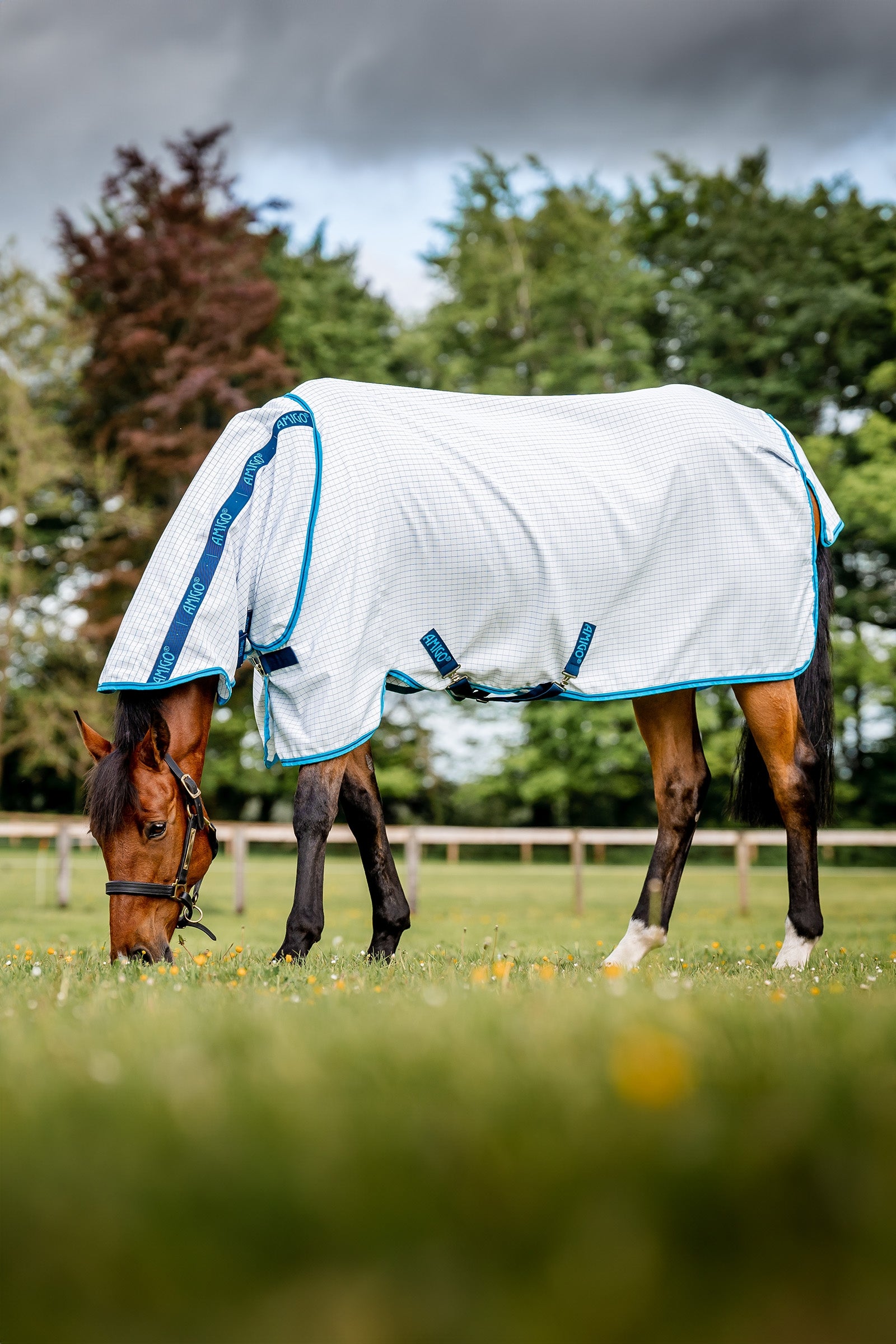 Horseware Amigo Couverture anti-mouches Plus Couvertures cheval