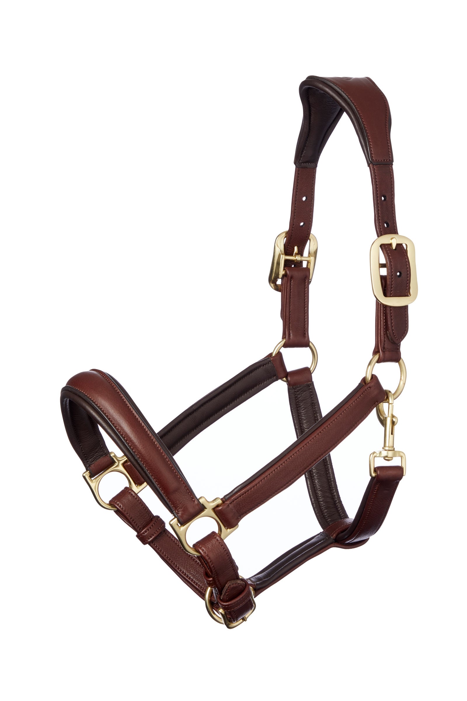 LeMieux Licol anatomique en cuir Licols & longes