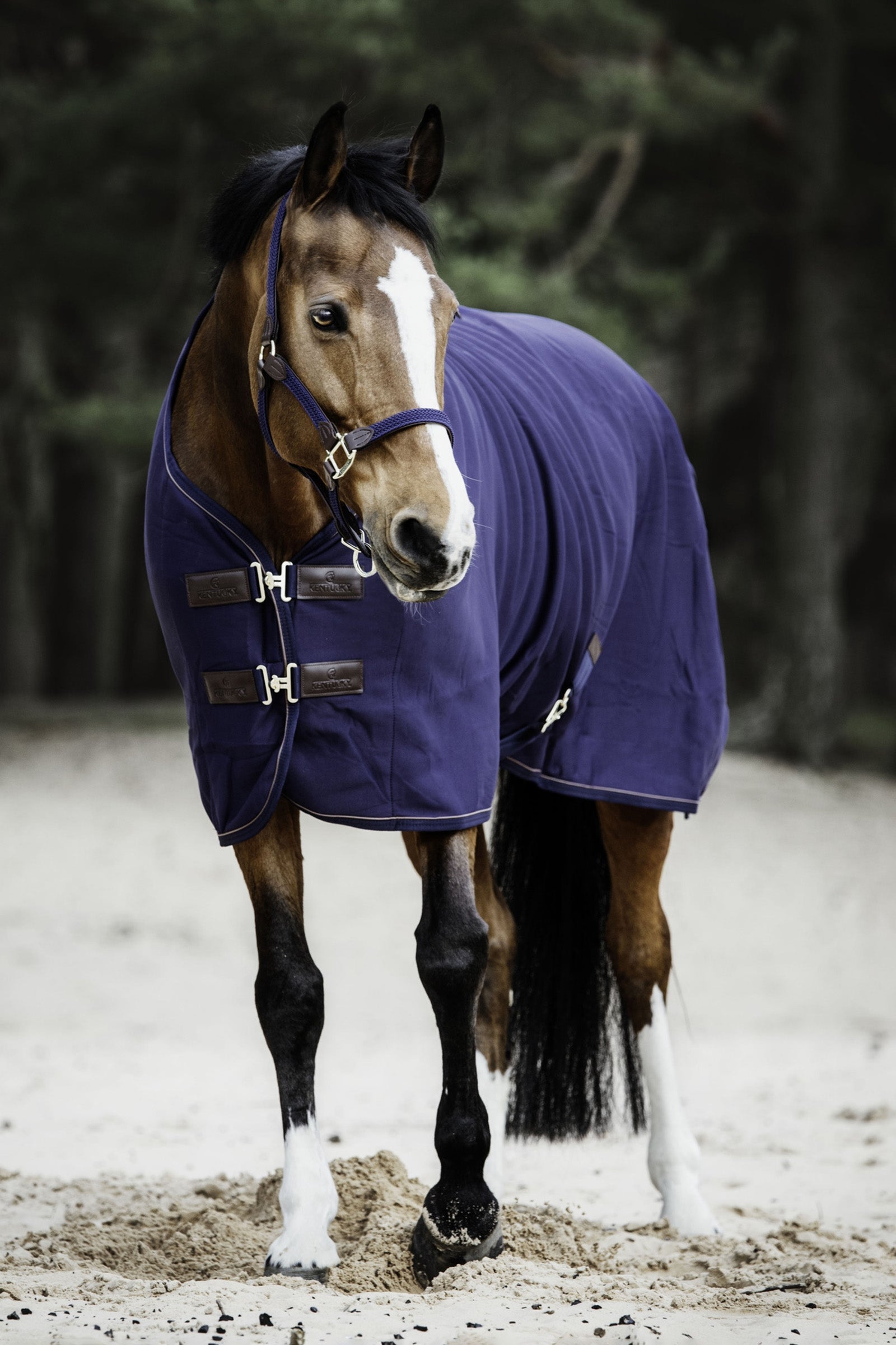 Kentucky Horsewear Chemise séchante Fleece Couvertures cheval