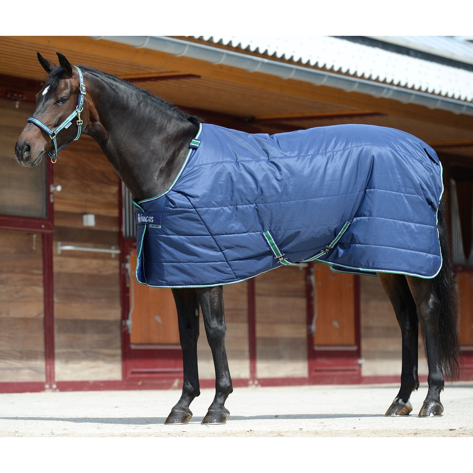 Bucas Couverture Quilt 150 g SD Encolure large Couvertures cheval