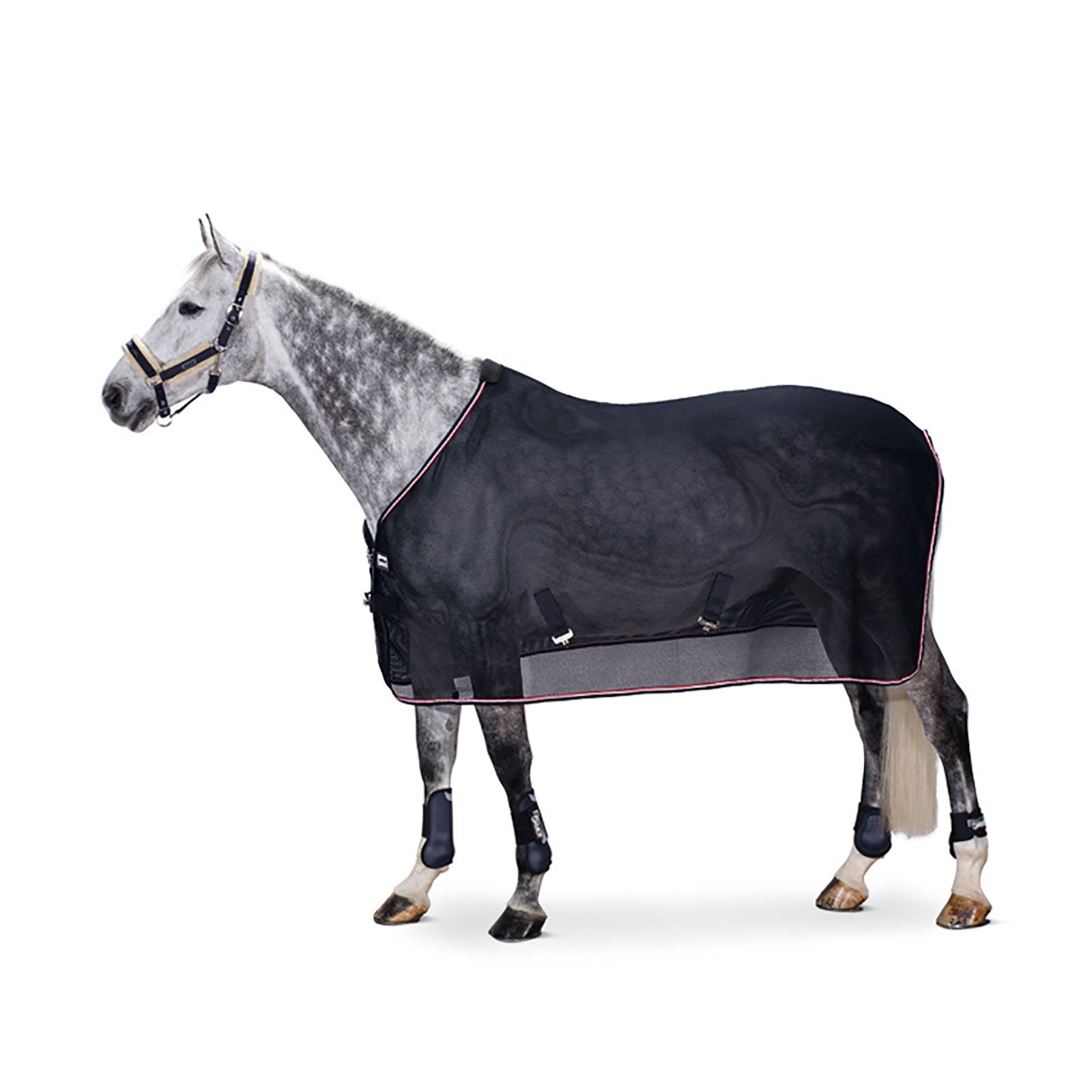 Eskadron Couverture anti-insectes maille filet MESH DURA Couvertures cheval