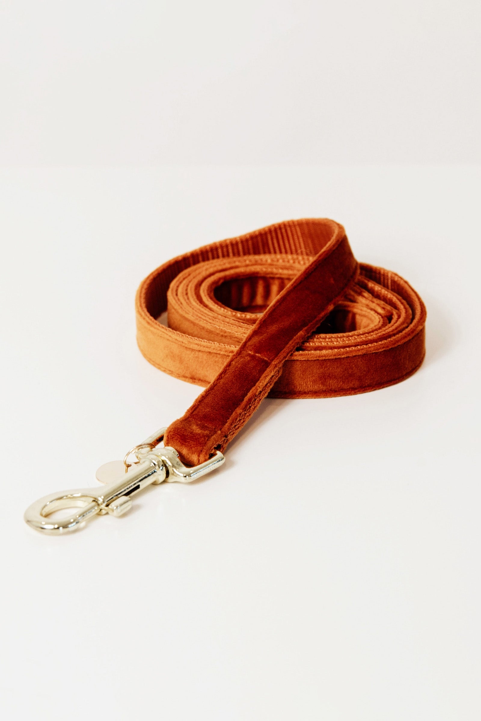 Kentucky Dogwear Dog Lead Velvet Chiens