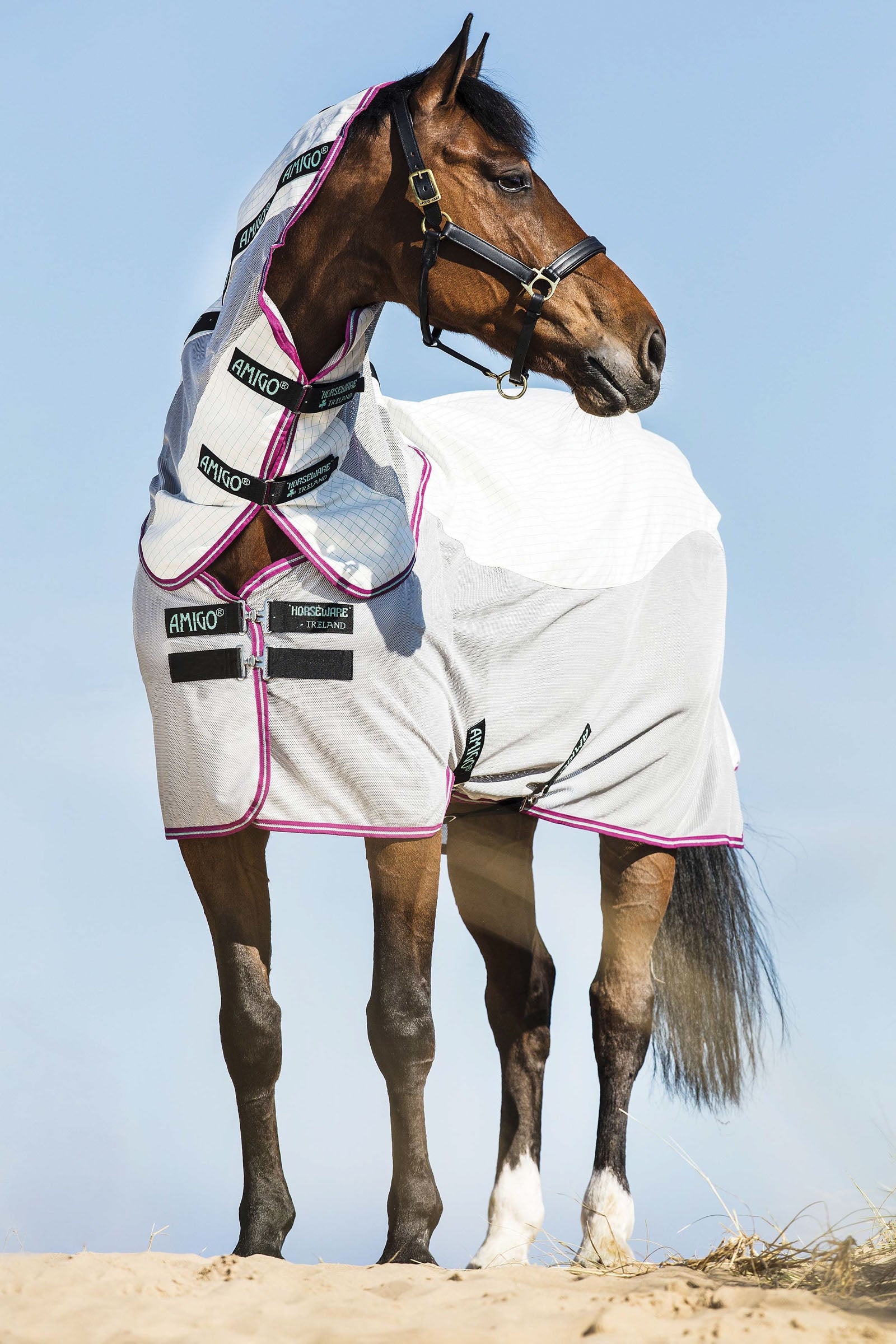 Horseware Amigo Airflow couverture anti-mouches avec partie de cou amovible Couvertures cheval