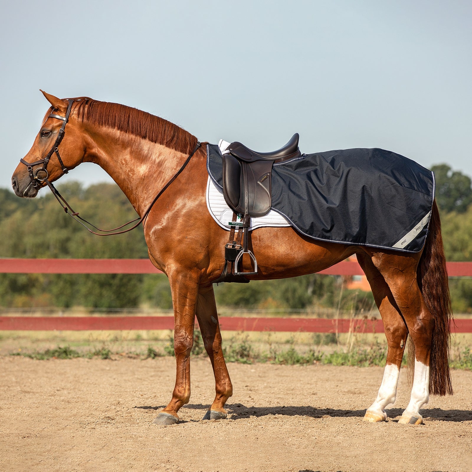 Horseware Couvre-reins Amigo Ripstop Couvertures cheval