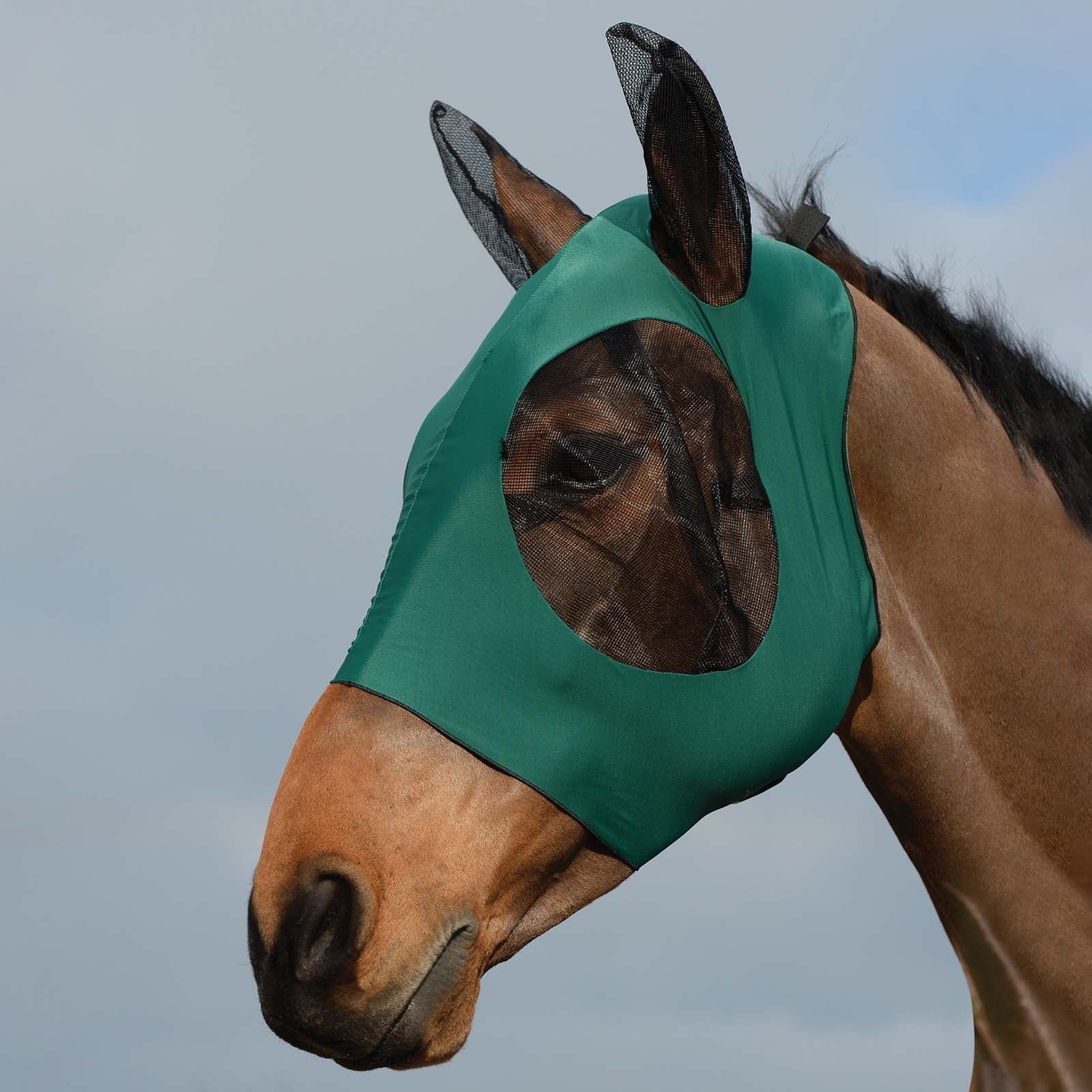 Weatherbeeta Stretch Bug ötökkähuppu korvilla Anti-mouches cheval