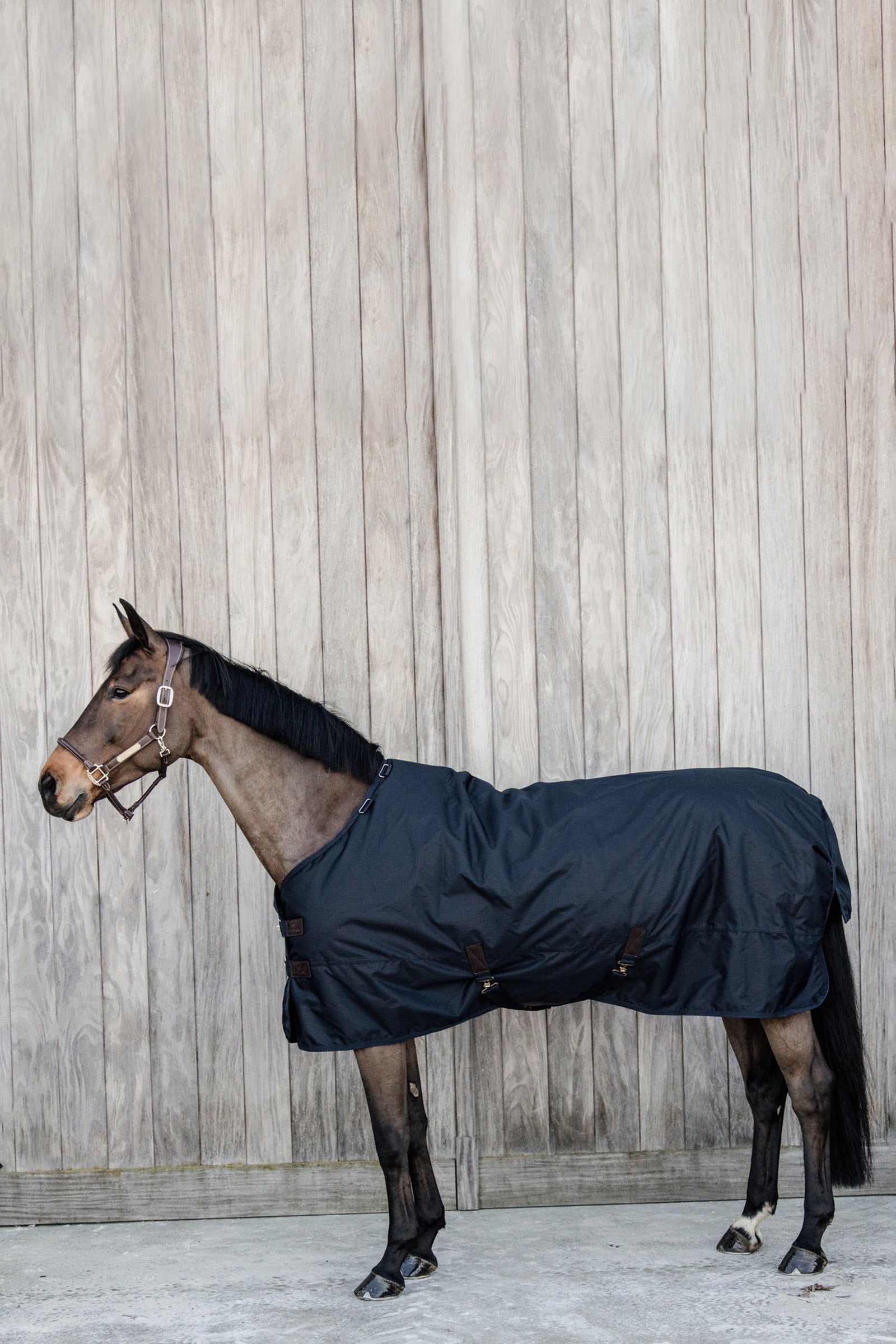 Kentucky Horsewear Turnout Rug All Weather Waterproof Classic, 50g Couvertures cheval