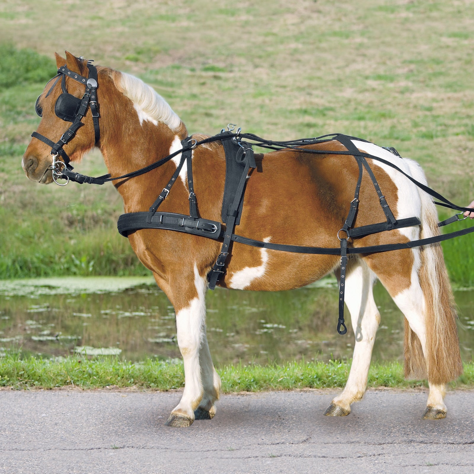 Waldhausen Harnais simple Poney et Shetland Trot attelé