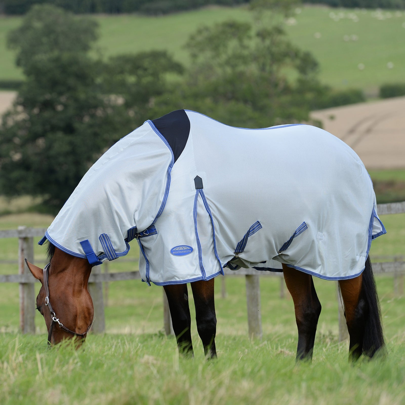 Weatherbeeta Couverture anti-mouches Comfitec Airflow II avec couvre-encolure amovible Couvertures cheval