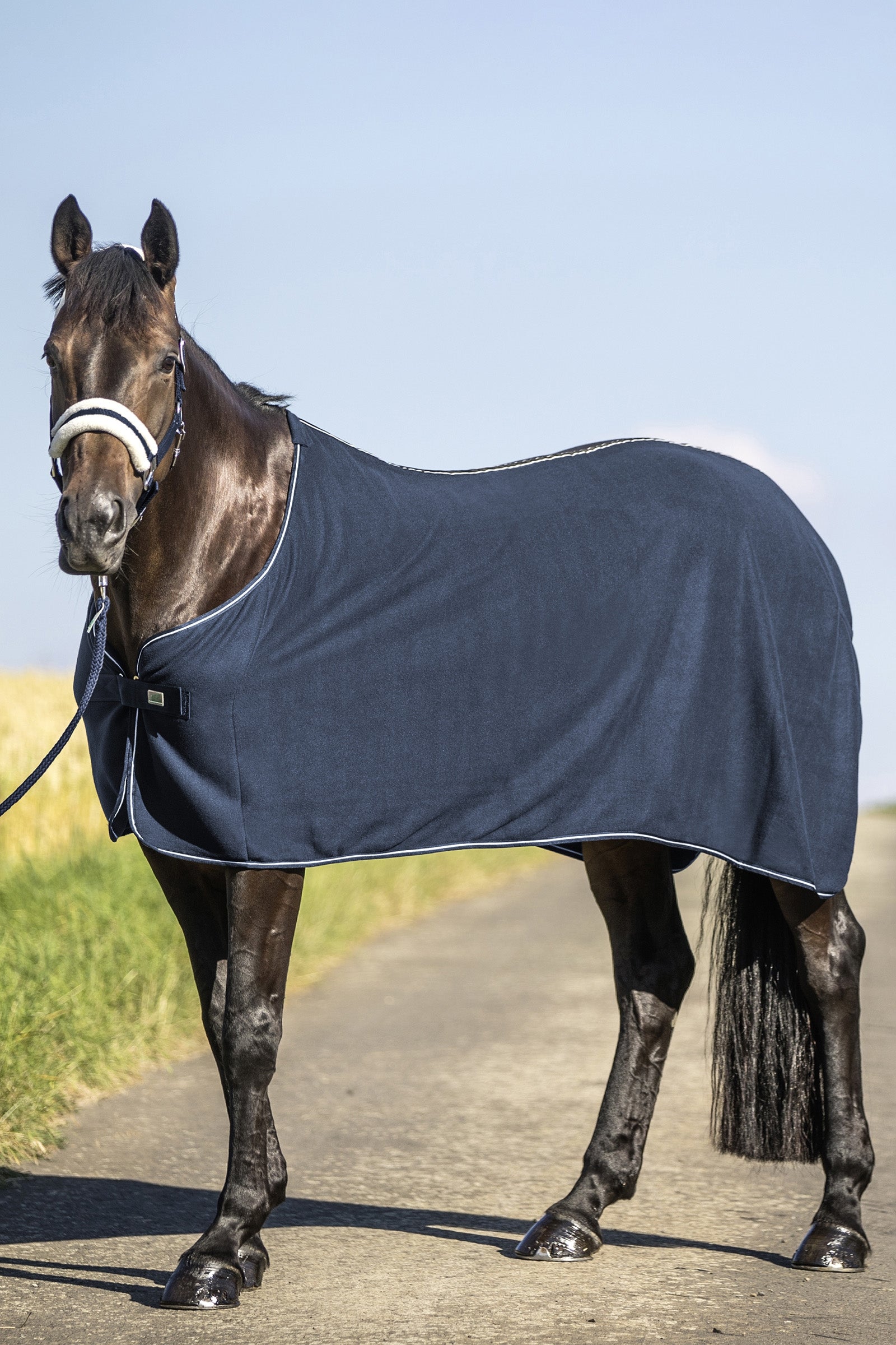 USG Couverture polaire Couvertures cheval