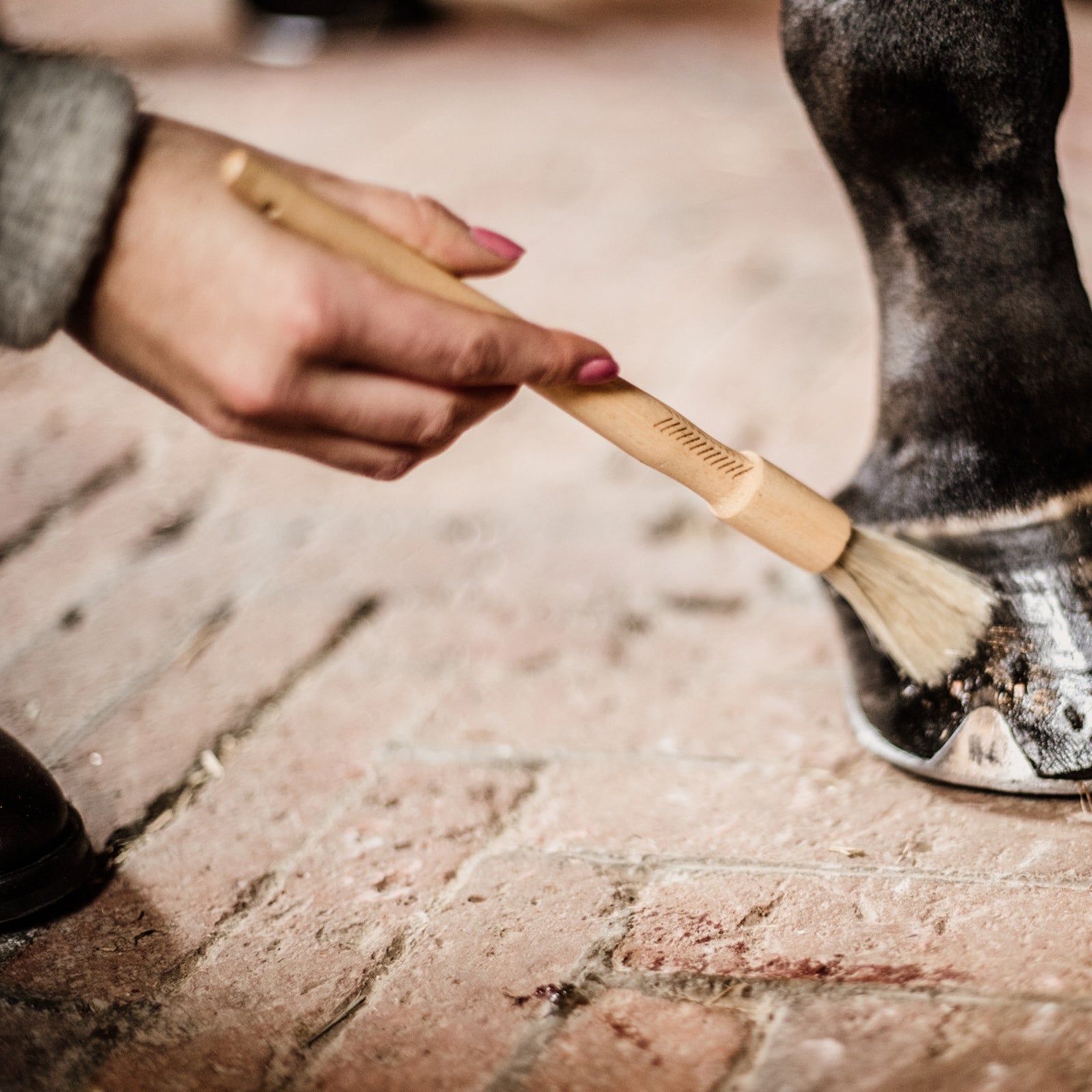 Grooming Deluxe Hoof Pencil Horse Health Care