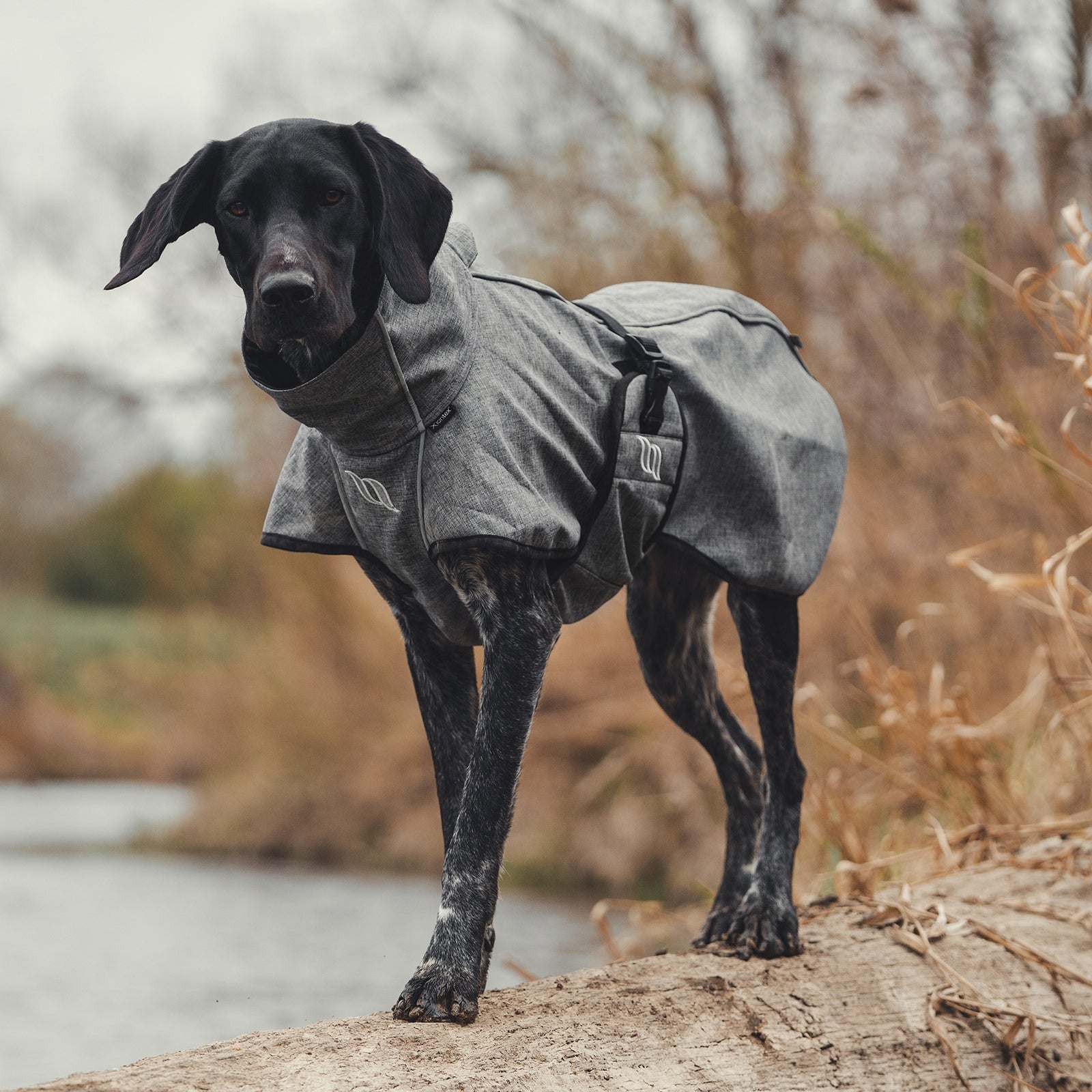 Back on Track Bark All-Round Dog Coat, 55-65cm Dog Accesories