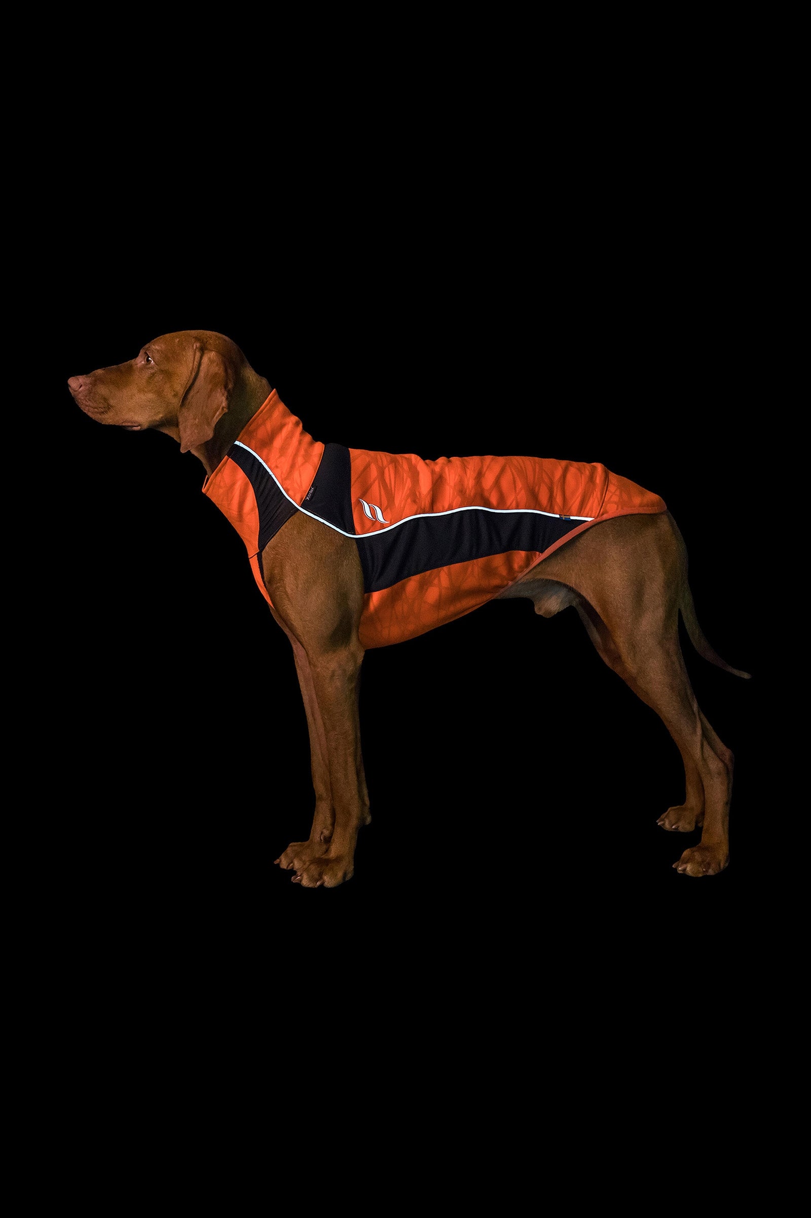 Back on Track Pull Eddie Grande visibilité, 40-45 cm Chiens