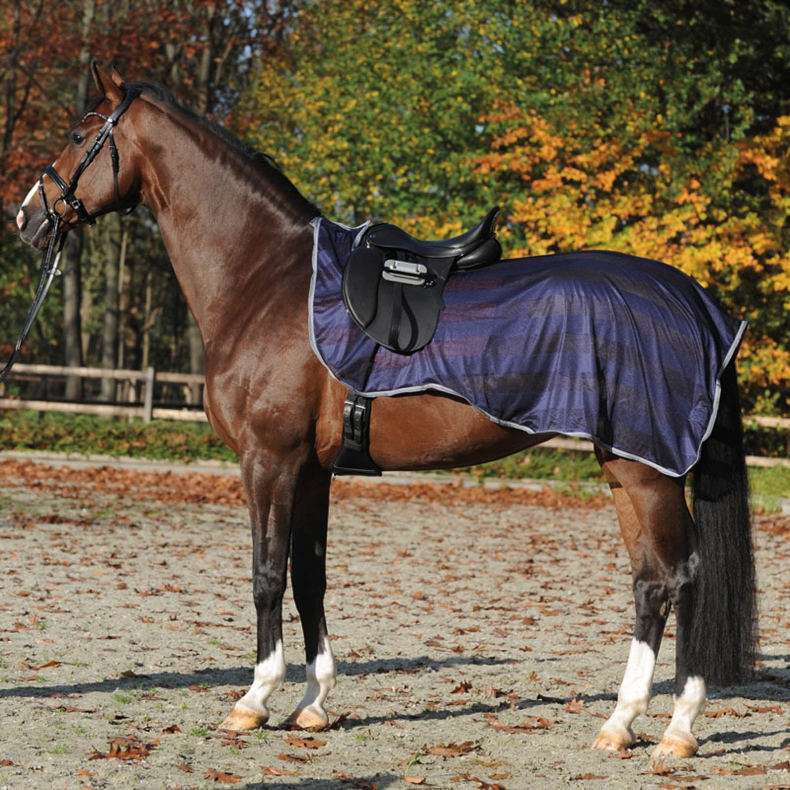 Kavalkade Couvre-reins couverture anti-mouches Fly Couvertures cheval