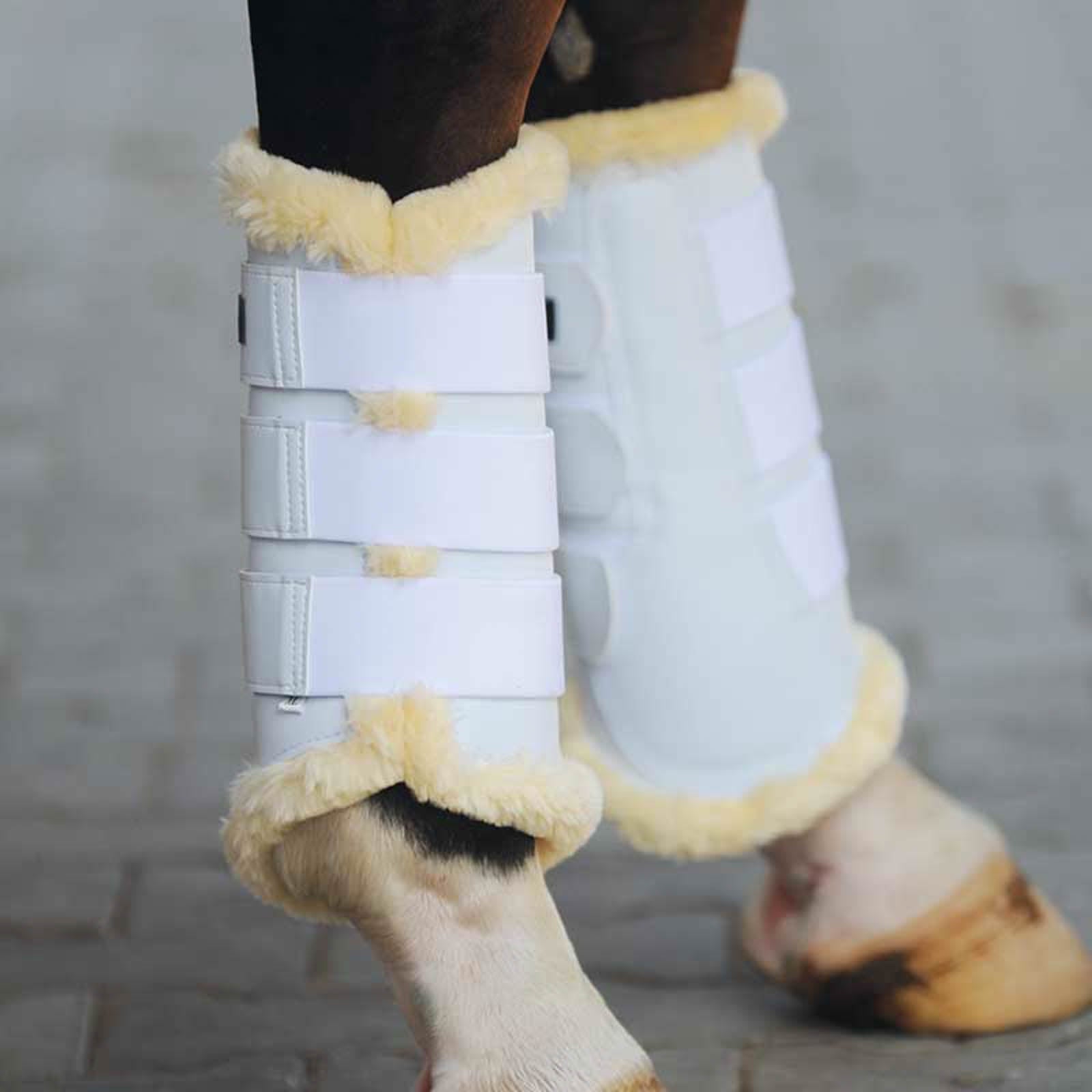 Kavalkade Guêtres de protection protège-tendons de concours Leg Protection & Hoof Protection for Horses