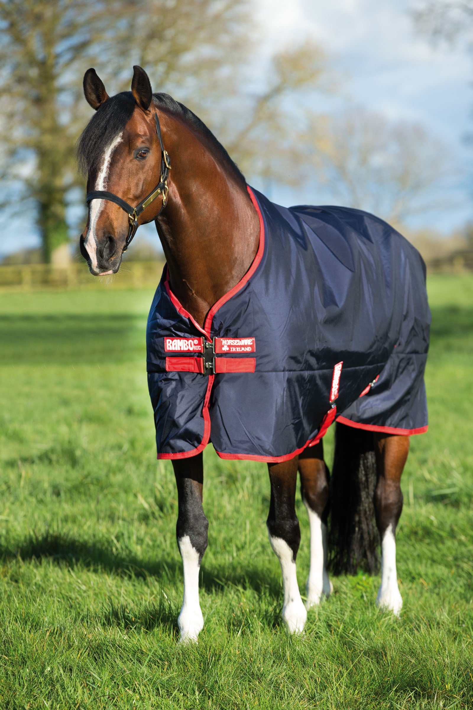 Horseware Couverture d'extérieur Rambo Original, 200 g Couvertures cheval