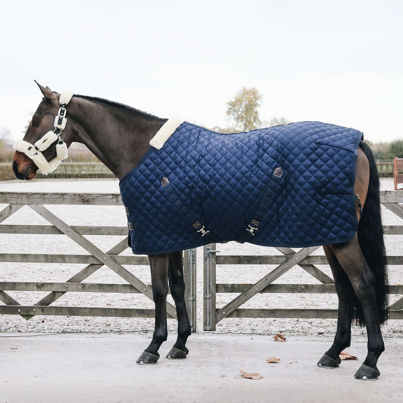 Kentucky Horsewear Couverture d’écurie, 200g Couvertures cheval