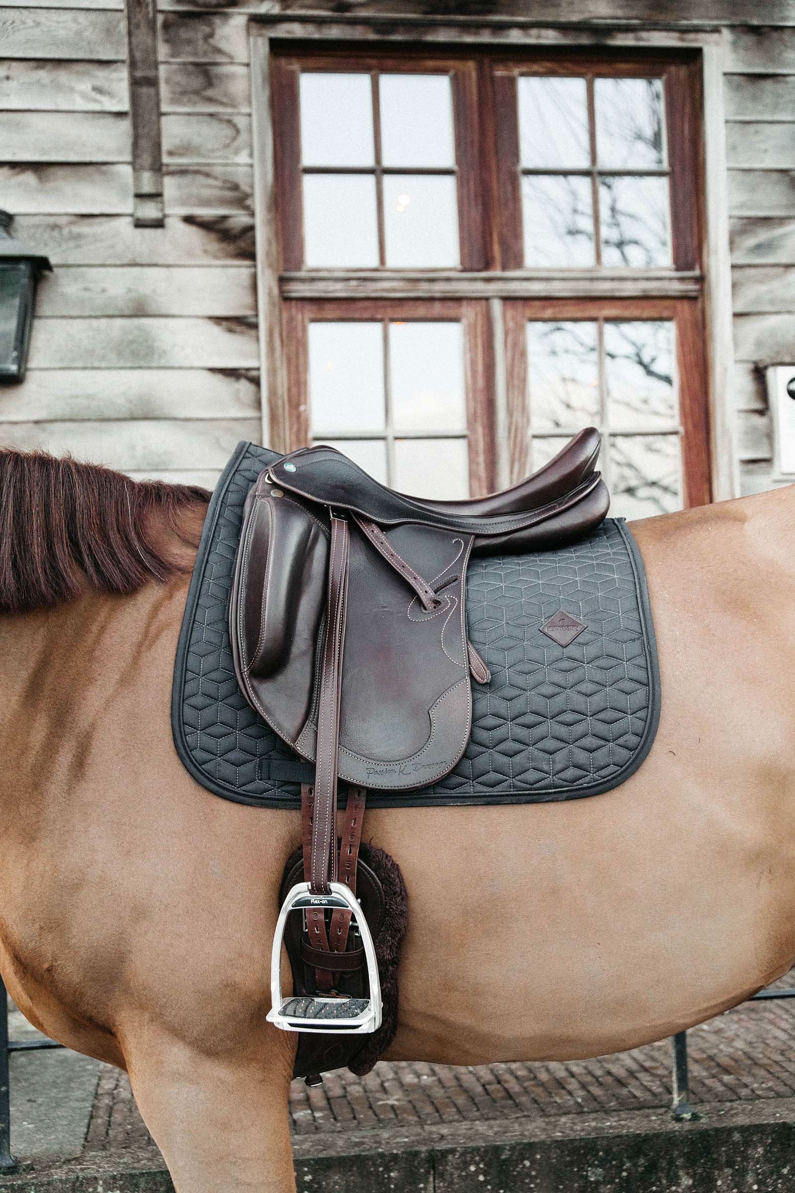 Kentucky Horsewear tapis de selle dressage basic Tapis de selle