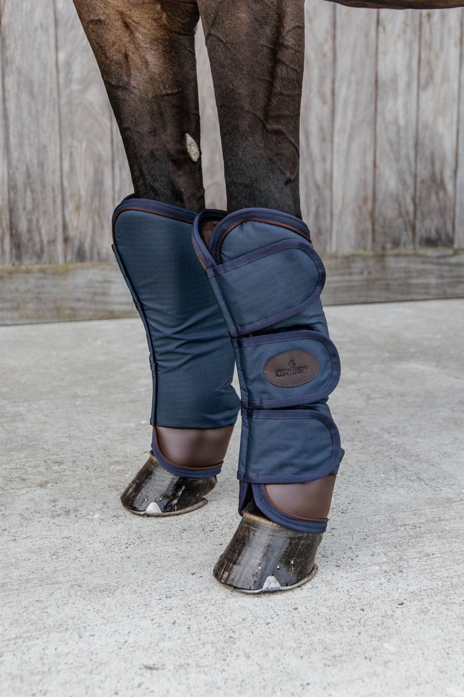 Kentucky Horsewear Travel Boots Leg Protection & Hoof Protection for Horses