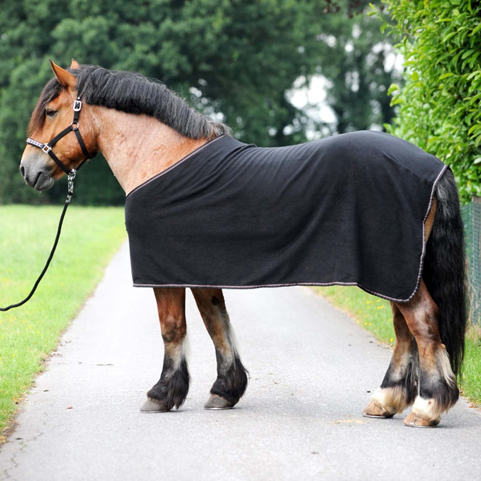 Quelle couverture mettre à son cheval pour l'hiver - Seaver