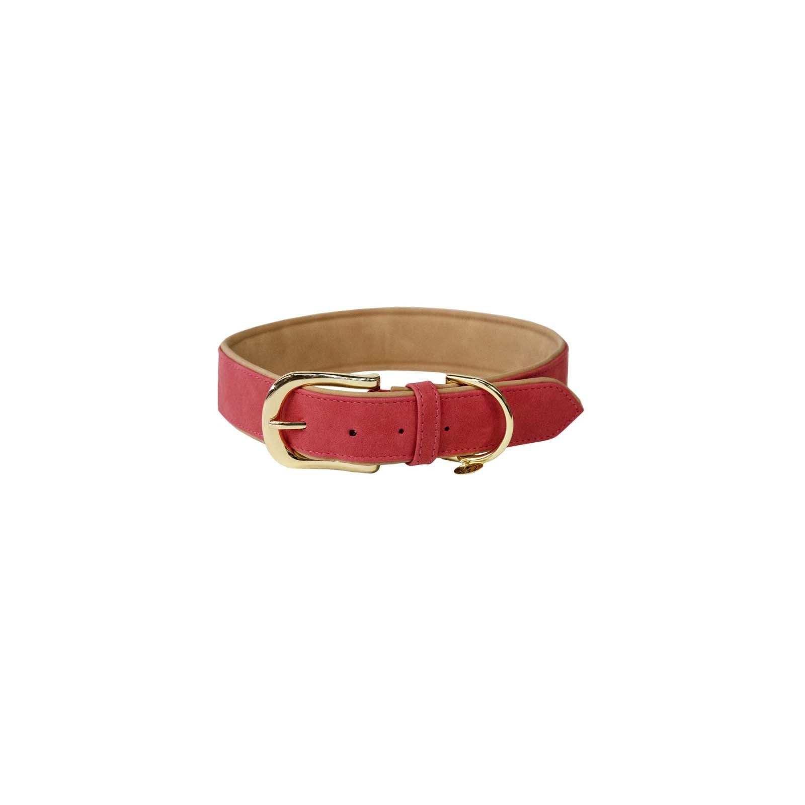 Kentucky Horsewear Kentucky Dogwear Collier pour chien en cuir vegan souple Chiens