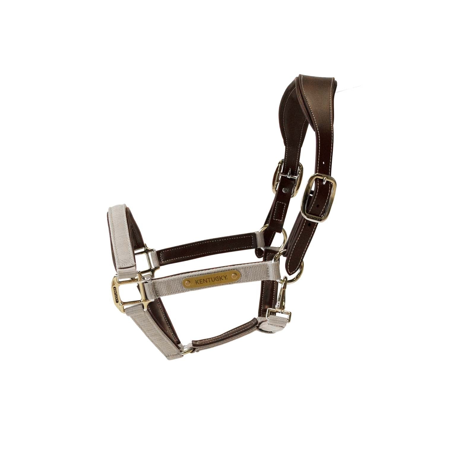 Kentucky Horsewear Licol anatomique en nylon Licols & longes