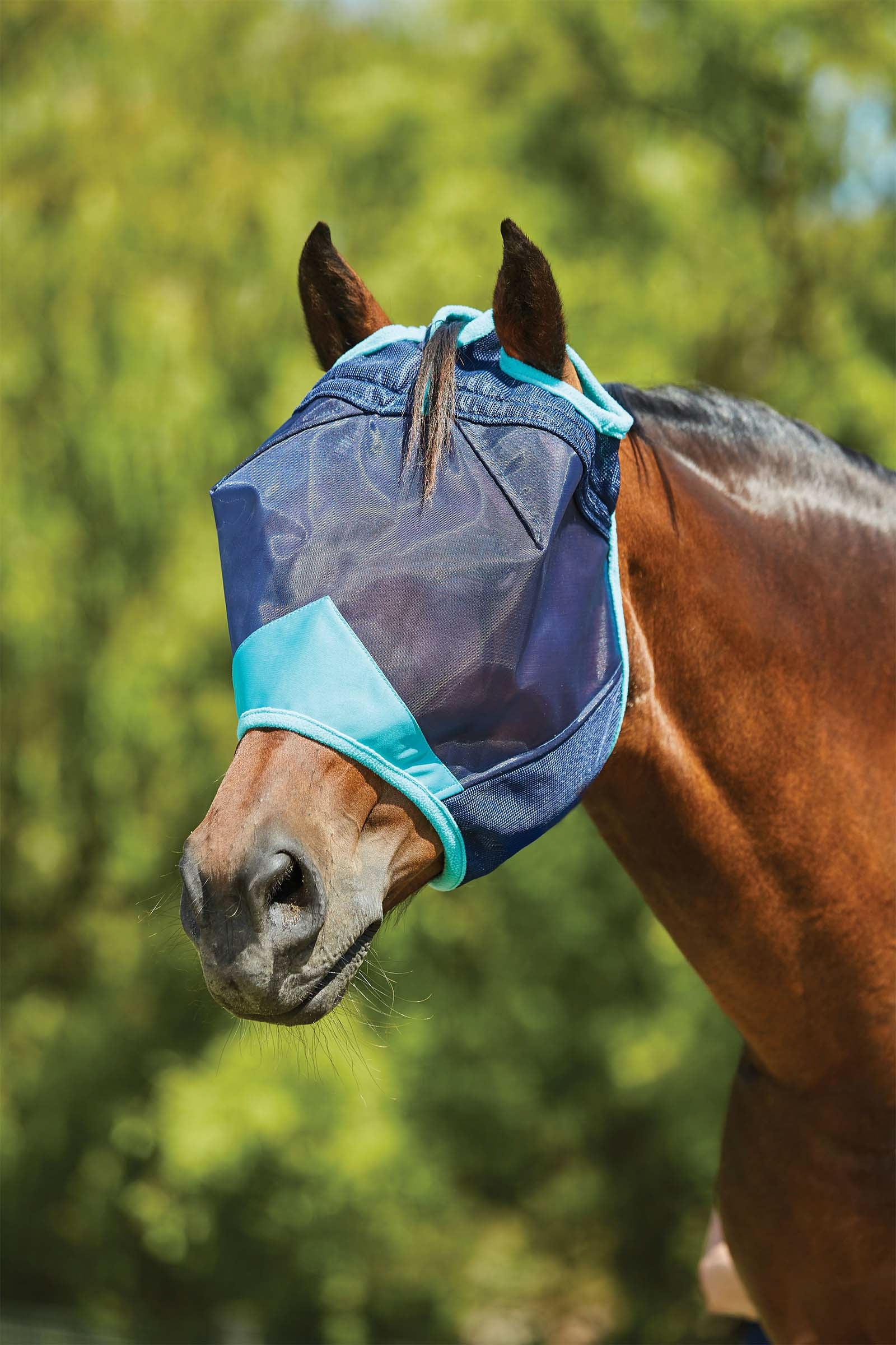 Weatherbeeta Comfitec Deluxe Fine Mesh Mask Anti-mouches cheval