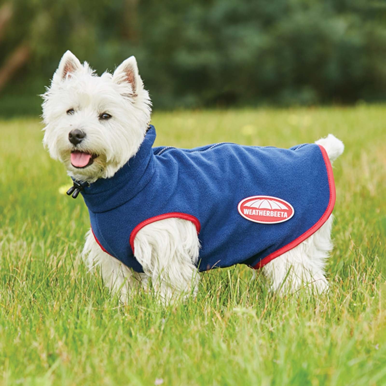 Weatherbeeta Manteau Comfitec Polaire avec Zip pour chien Chiens