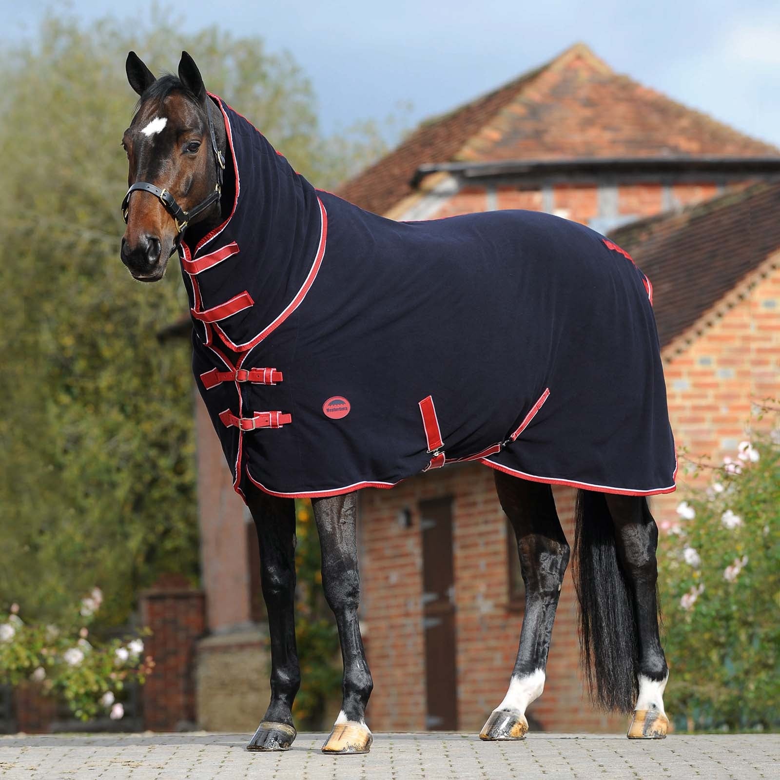 Weatherbeeta Couverture séchante polaire Combo avec couvre-encolure fixe Couvertures cheval