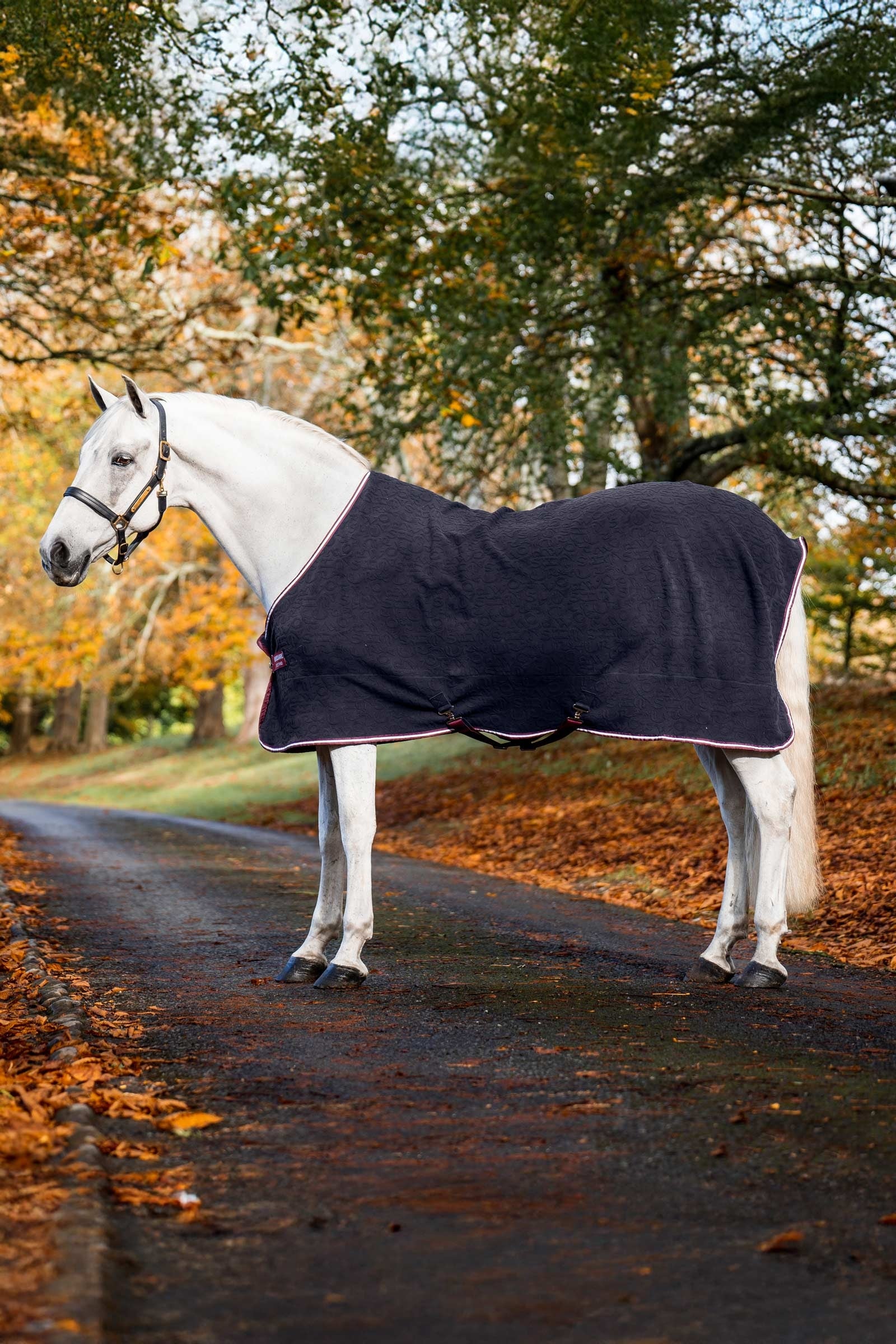 Horseware Couverture séchante en relief Jersey Couvertures cheval