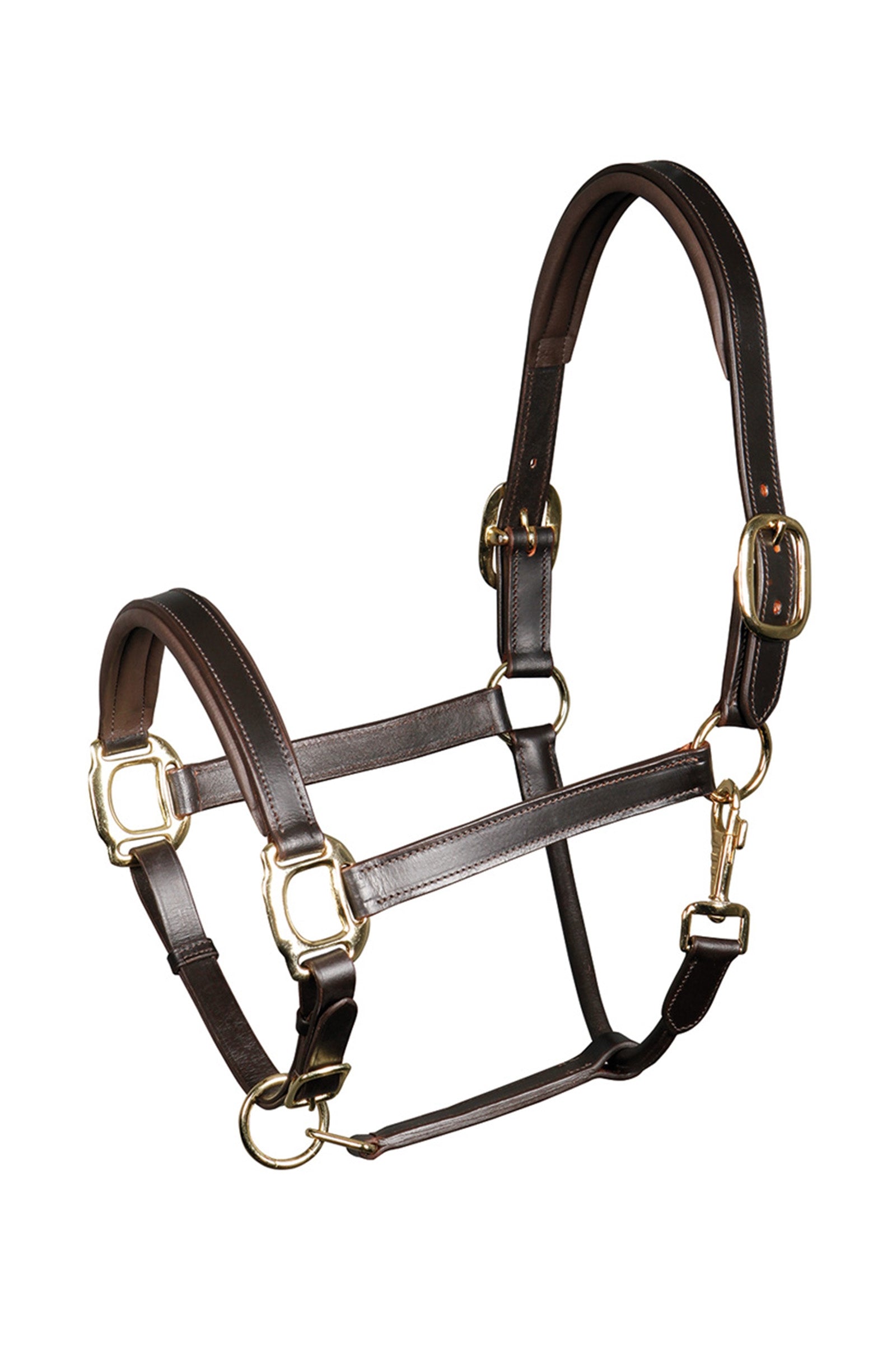 Harry's Horse Licol cuir padded Licols & longes