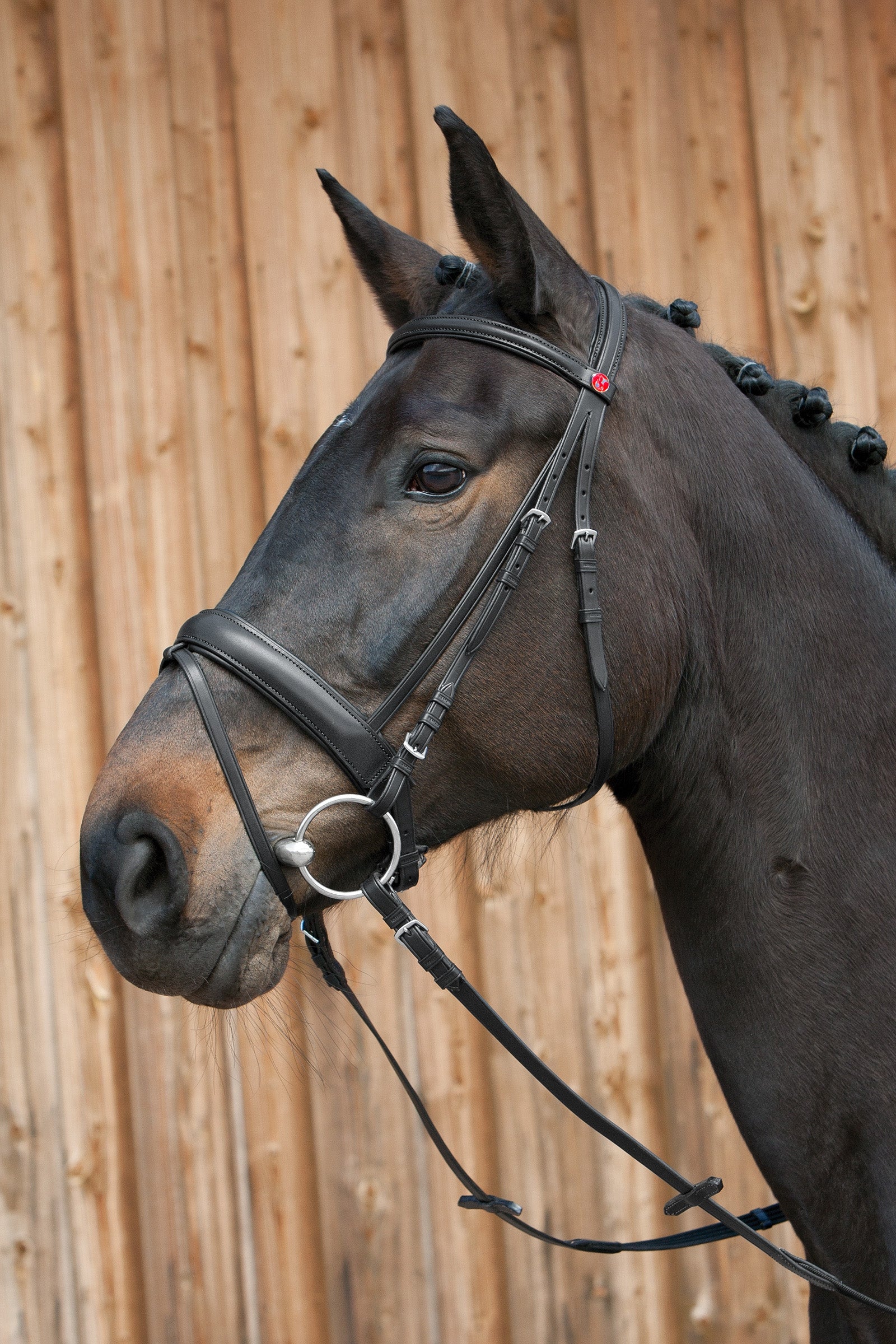 Kieffer Ergonomic Line III Bridle Briderie et enrênements