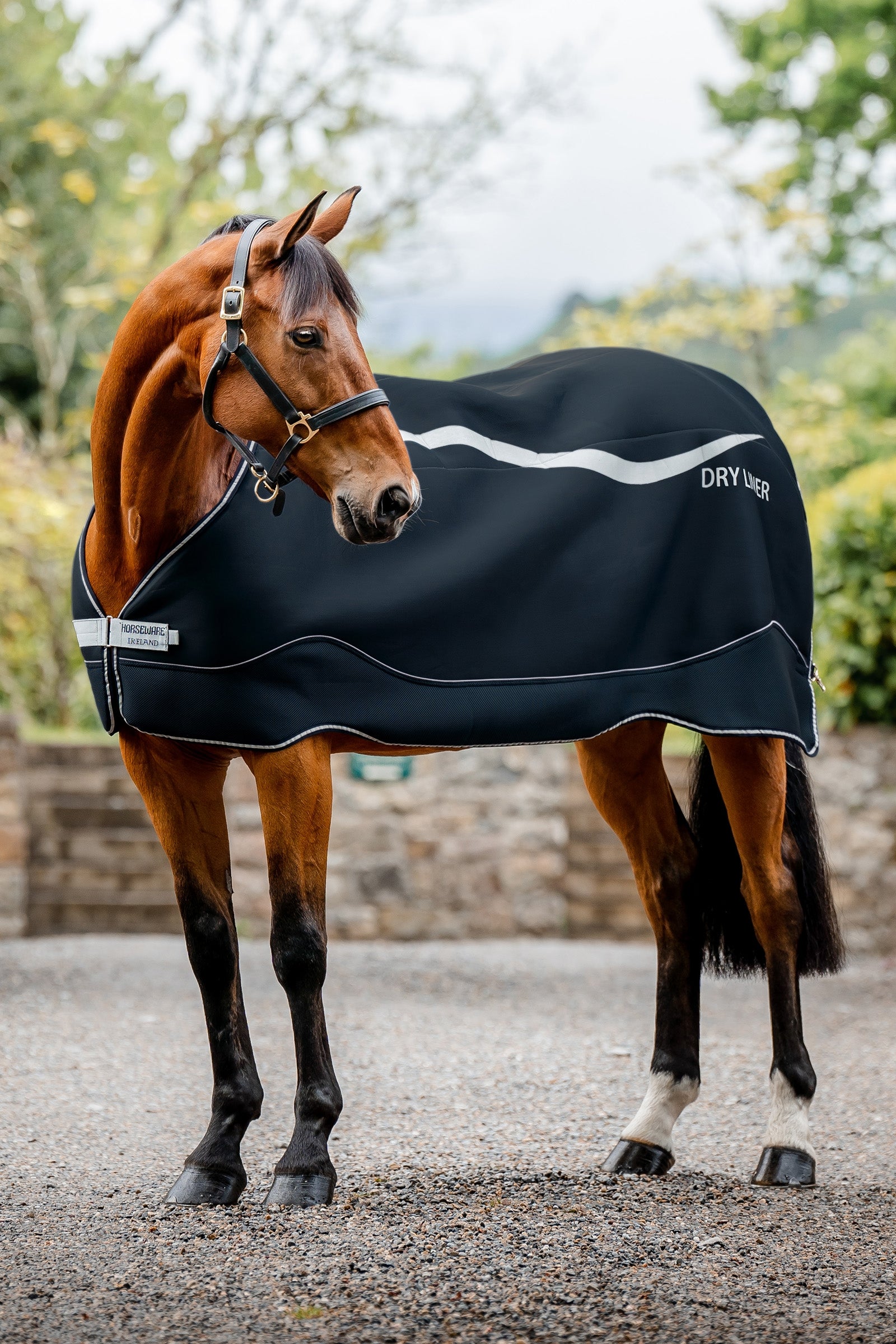 Horseware Dry Liner sous-couverture avec fonction de séchage, 50 g Couvertures cheval