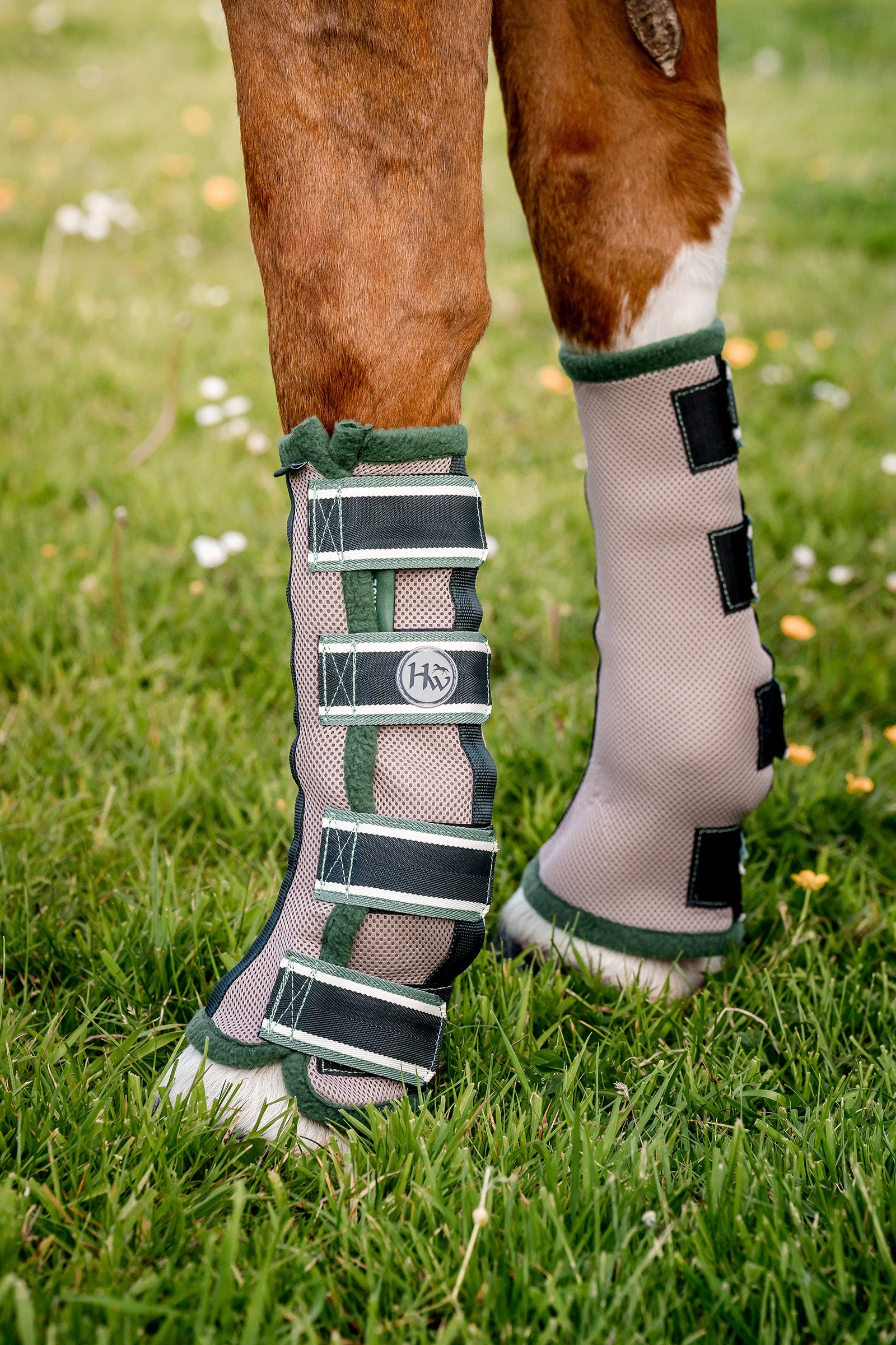 Horseware anti-mouches guêtres Leg Protection & Hoof Protection for Horses
