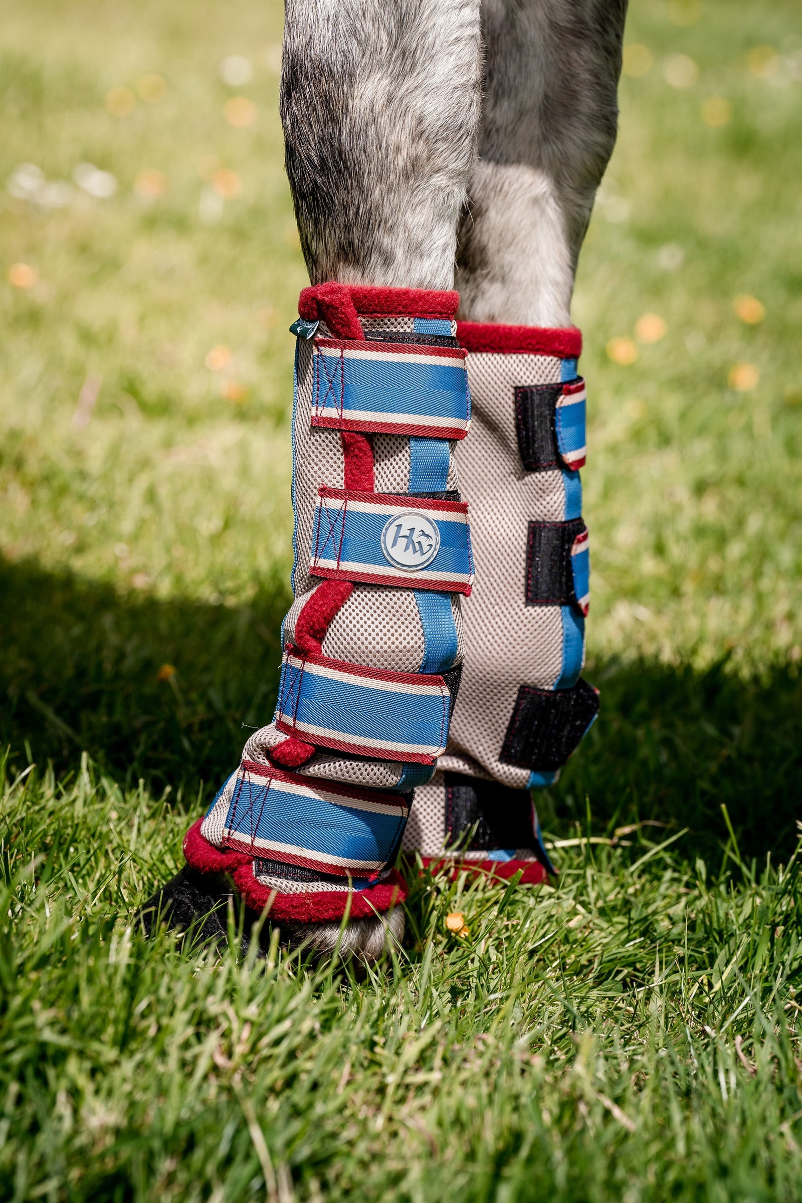 Horseware anti-mouches guêtres Leg Protection & Hoof Protection for Horses