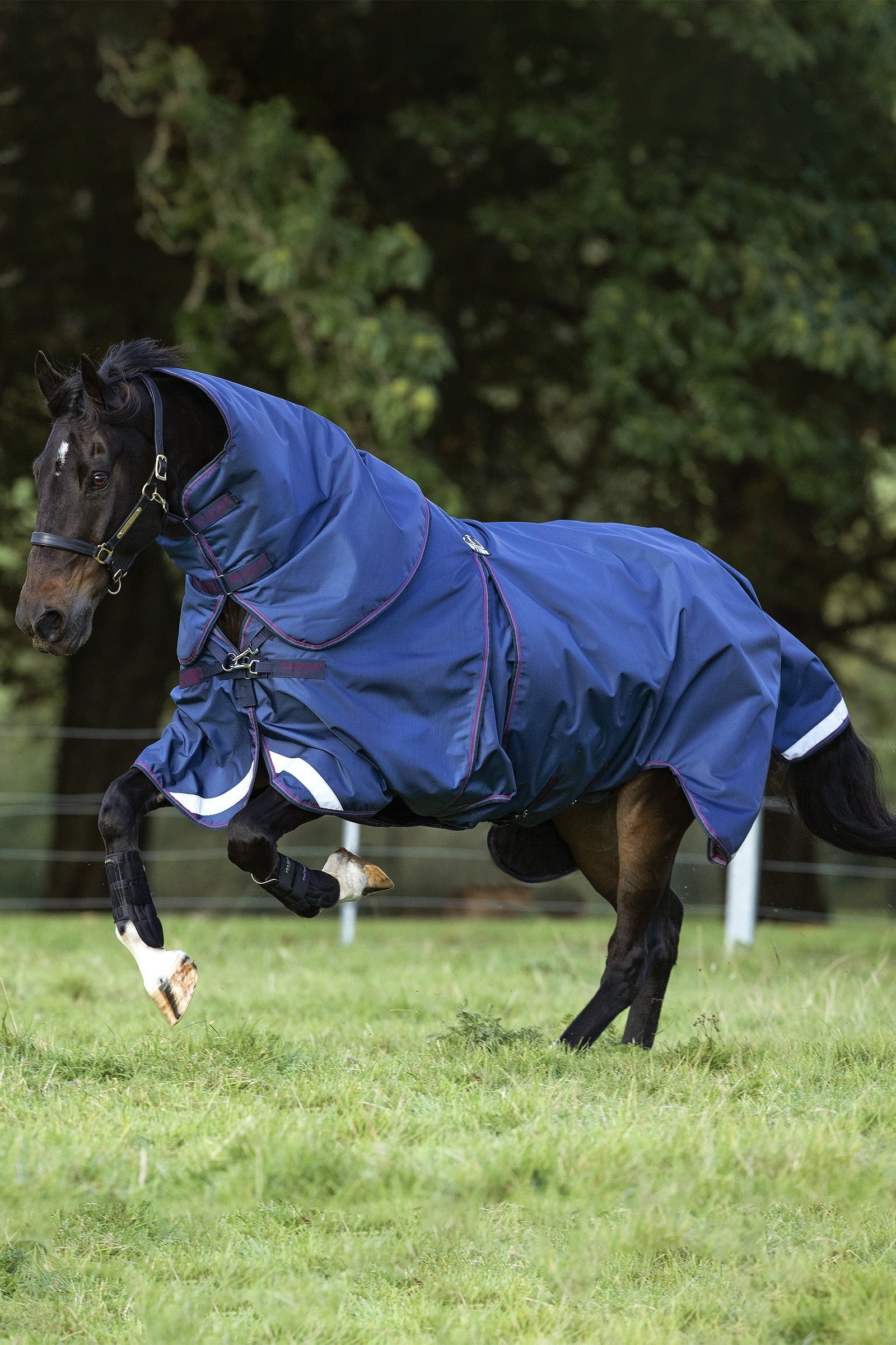 Horseware Rambo Optimo Plus Couverture de Pâturage, 0g Couvertures cheval