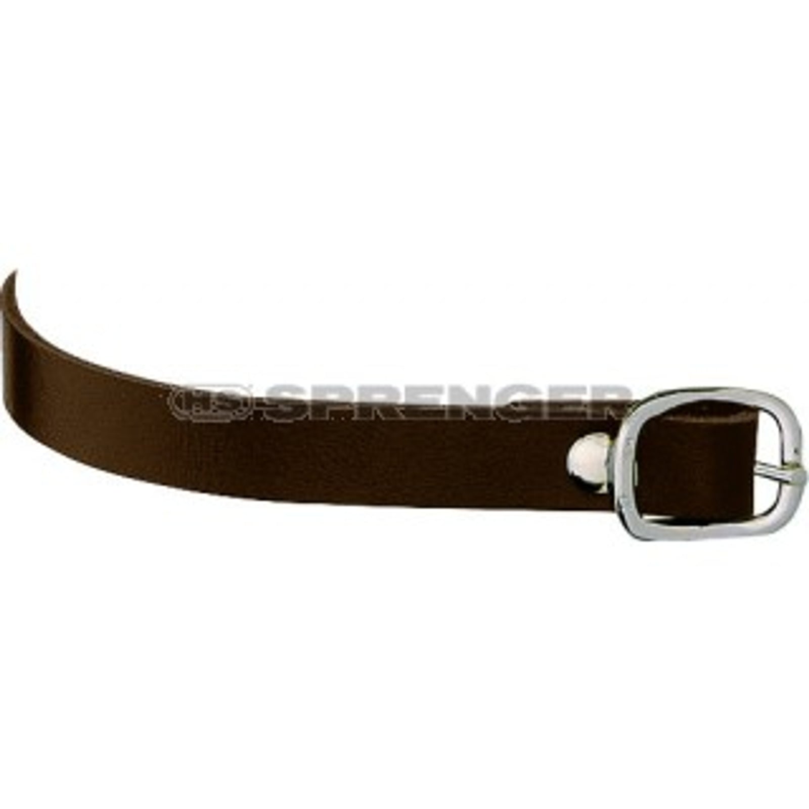 Sprenger Courroies d'éperons , cuir Cravaches d'équitation