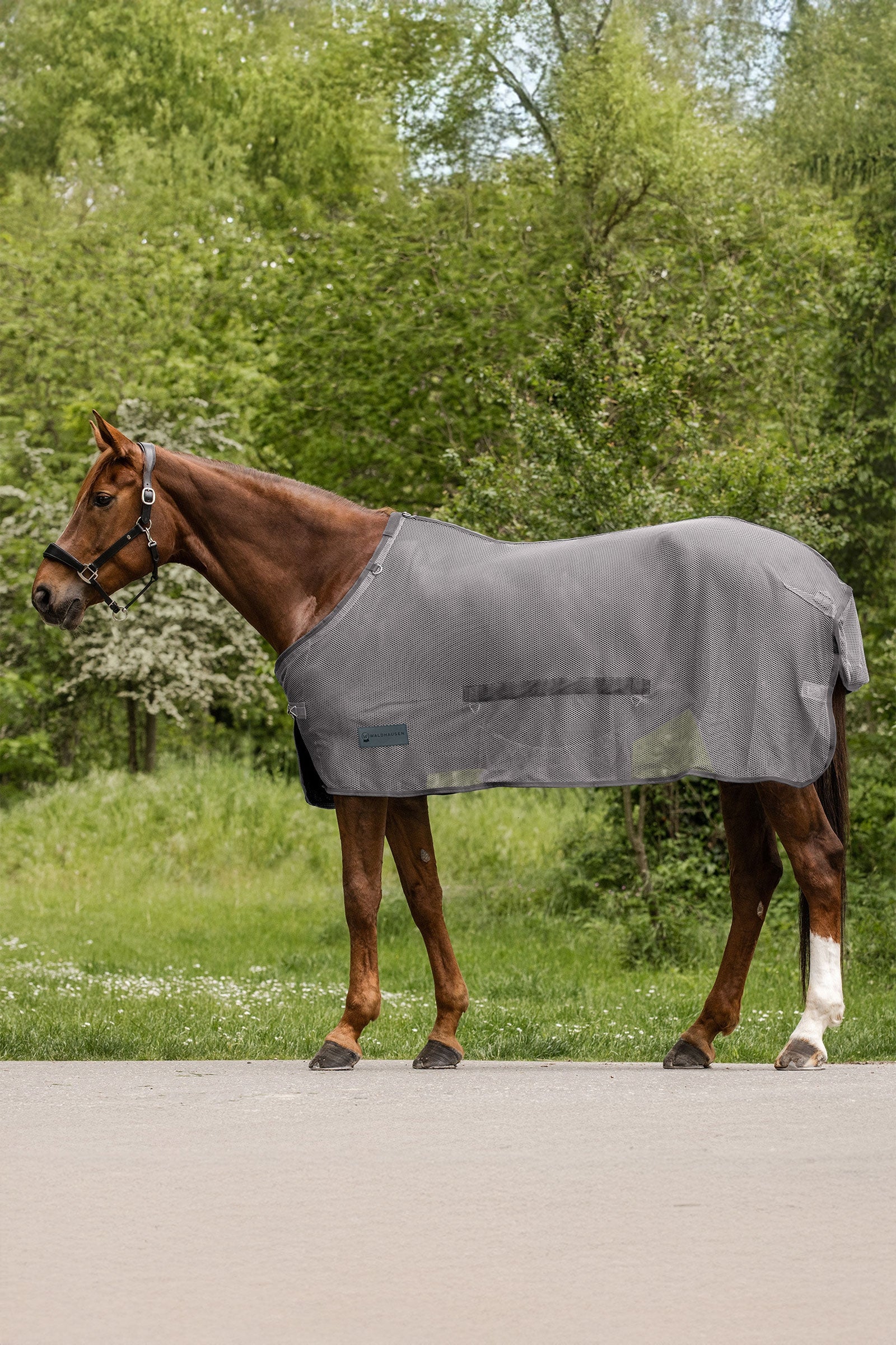 Waldhausen Comfort couverture anti-mouches avec rabat ventral Couvertures cheval