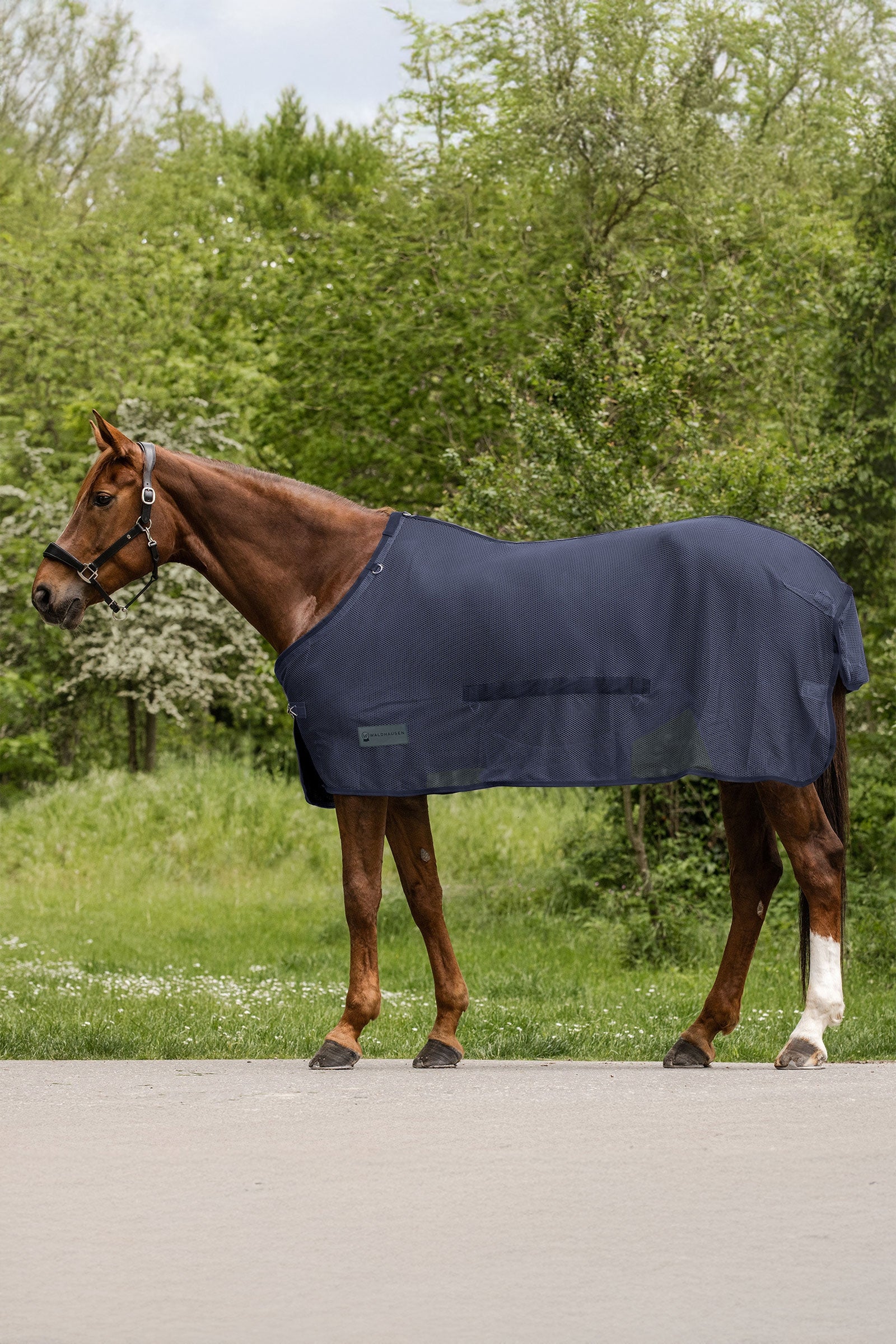 Waldhausen Comfort couverture anti-mouches avec rabat ventral Couvertures cheval