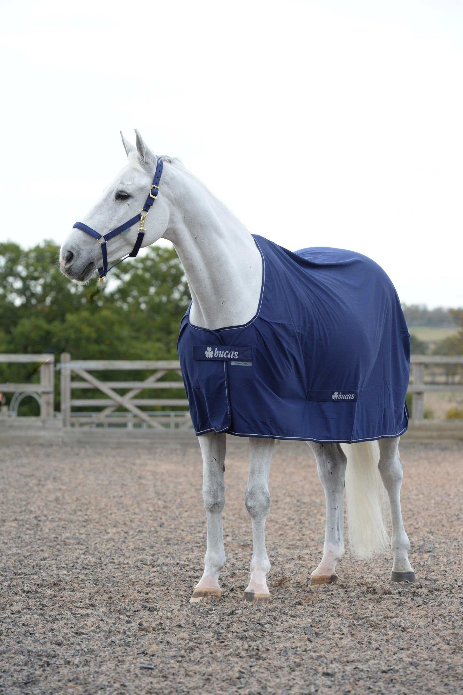 Bucas Power Cooler Horse Rugs