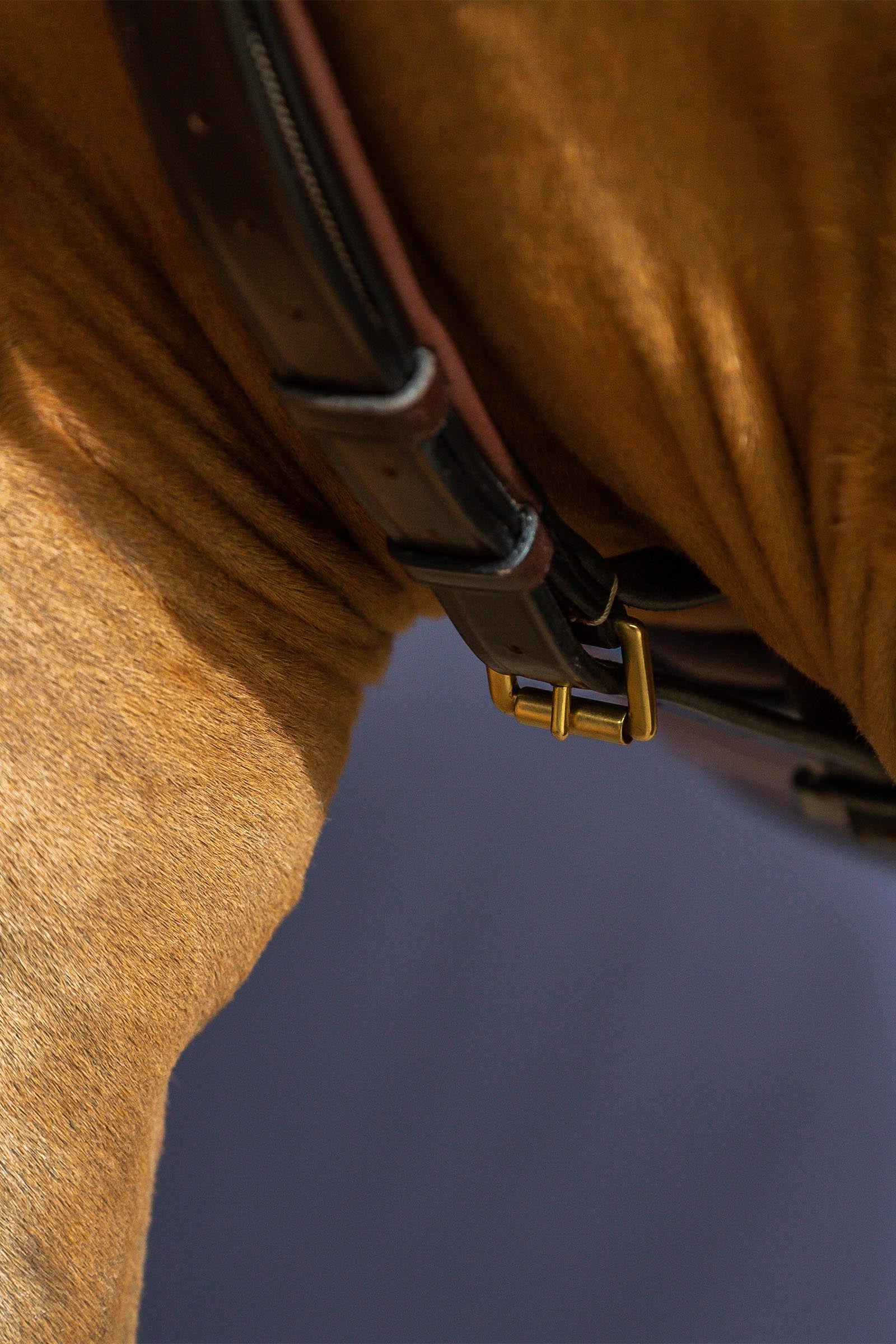 Dy'on D Collection Yoke Bridles & Reins